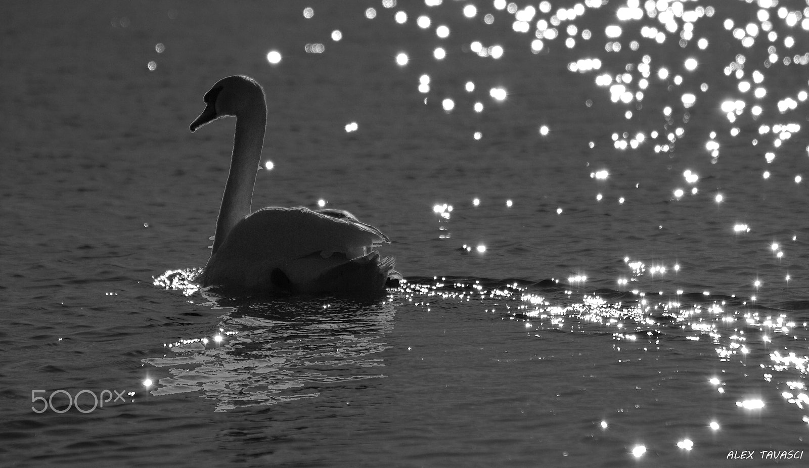 Nikon D40X sample photo. Solitudine photography