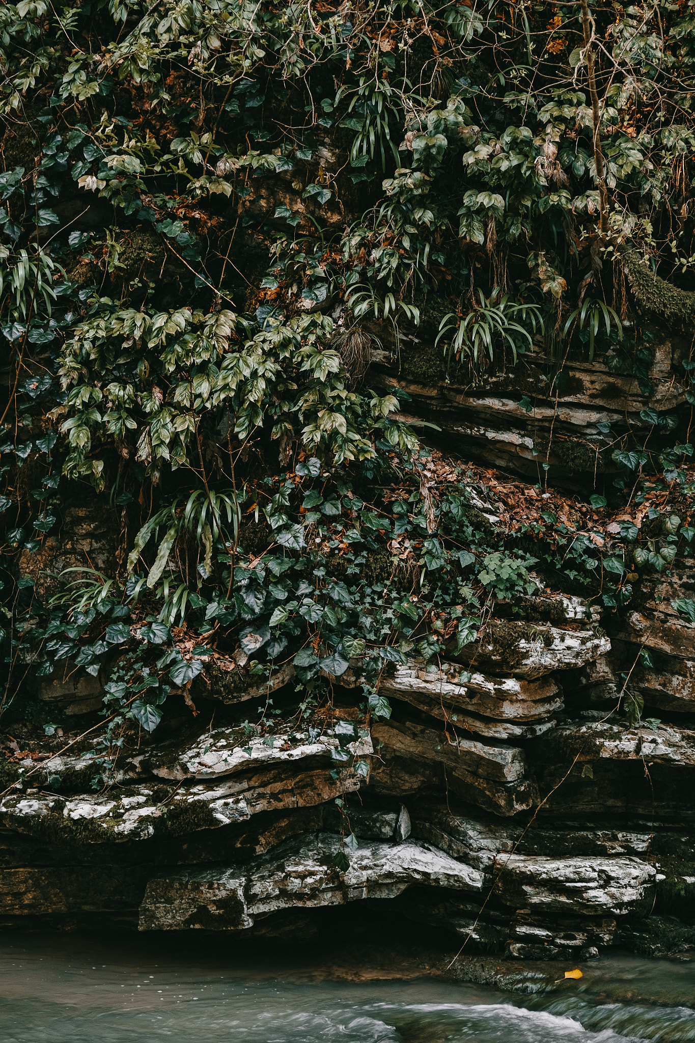 Fujifilm XF 50-140mm F2.8 R LM OIS WR sample photo. Growth on the rocks photography