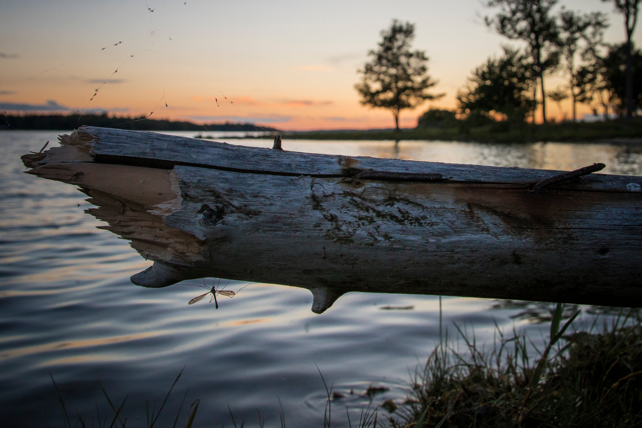 Canon EOS M3 sample photo. Lidö - sunset photography