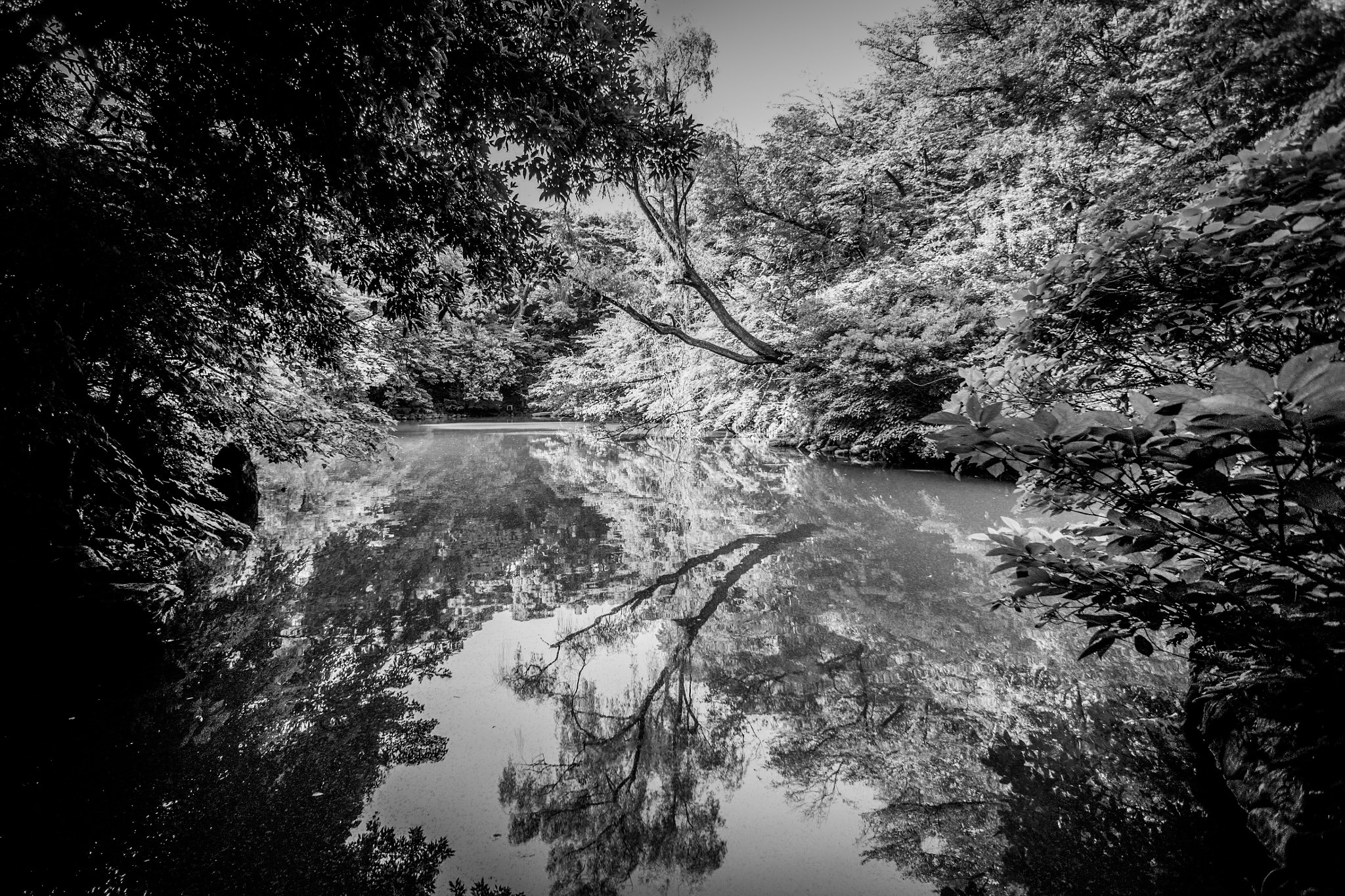 Sony Alpha NEX-7 + Sony E 16mm F2.8 sample photo. Tokyo university photography