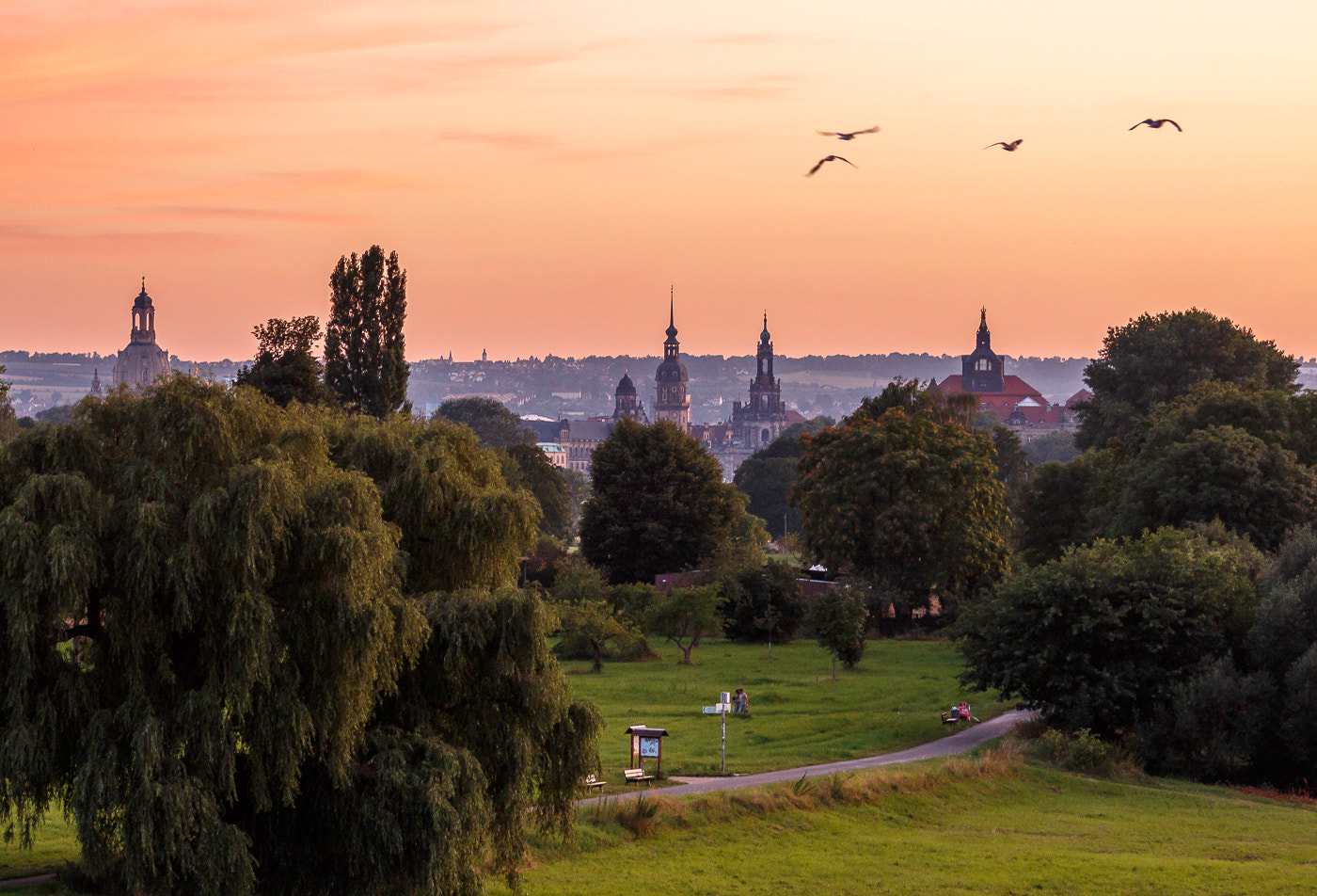 Sigma 105mm F2.8 EX DG Macro sample photo. Dresden! photography