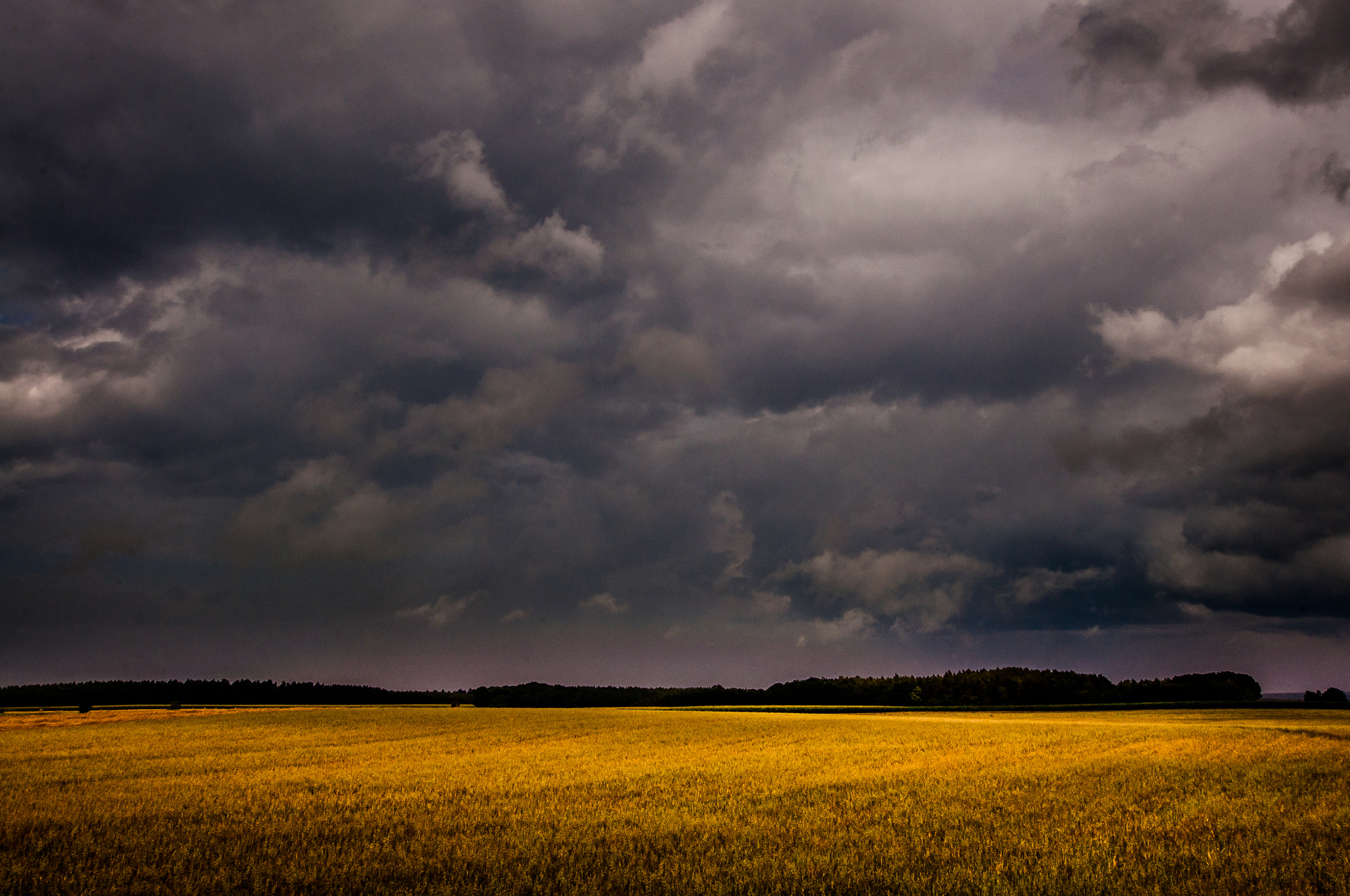 Nikon D90 + Sigma 10-20mm F3.5 EX DC HSM sample photo. Before the rain photography