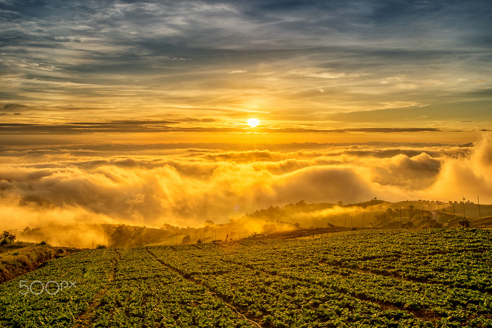Nikon AF-S Nikkor 17-35mm F2.8D ED-IF sample photo. Sunrise over mountain at phu tab berk,thailand photography