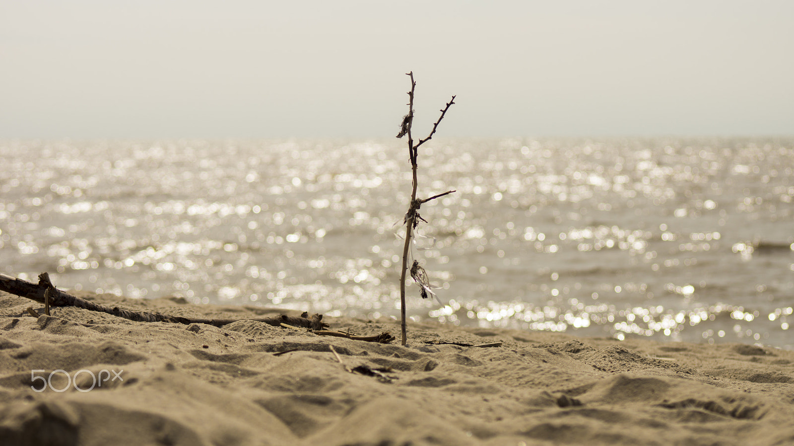 Sony SLT-A65 (SLT-A65V) + Sigma 70-300mm F4-5.6 DL Macro sample photo. Sea coast photography