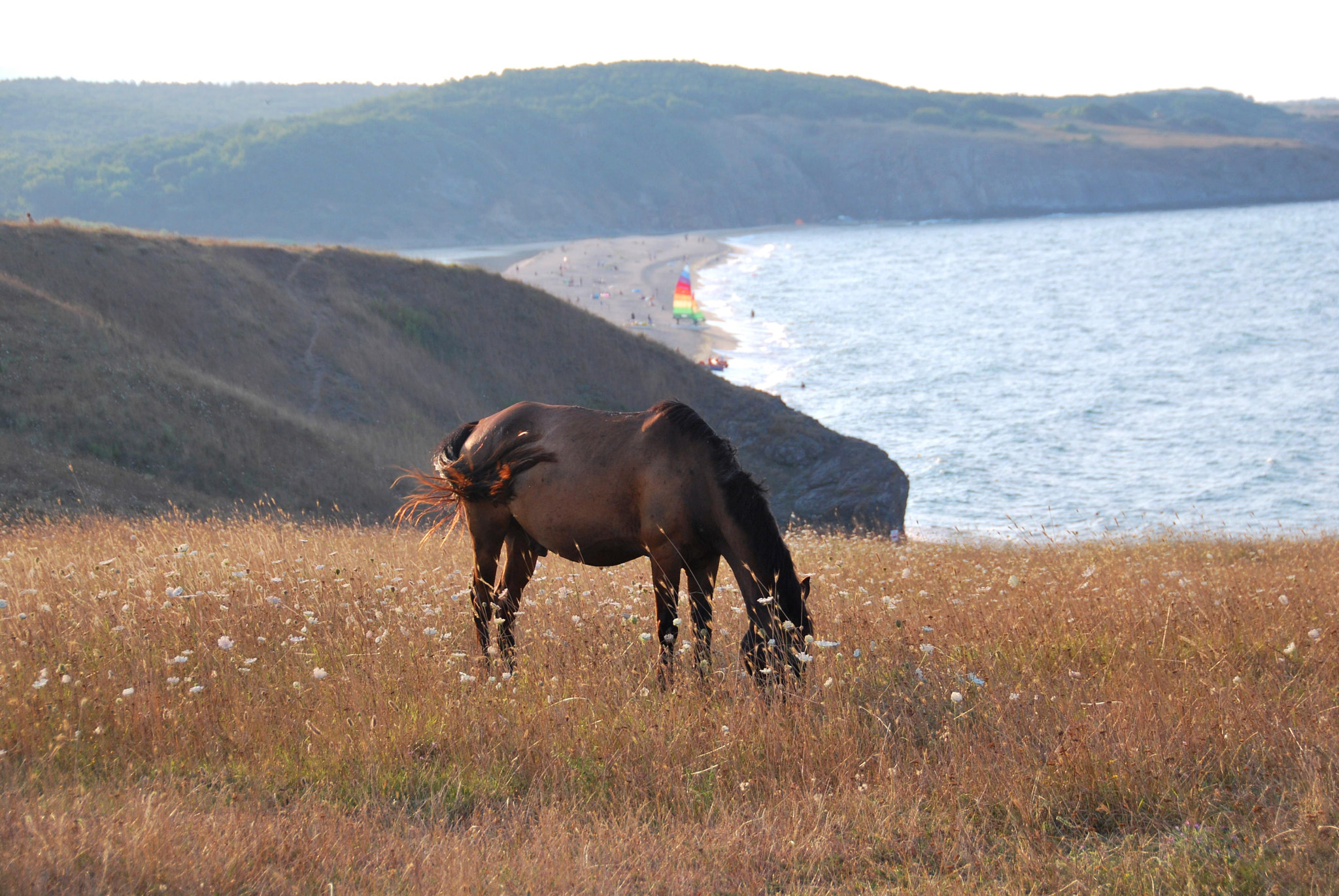 Nikon D60 sample photo. That view.... photography