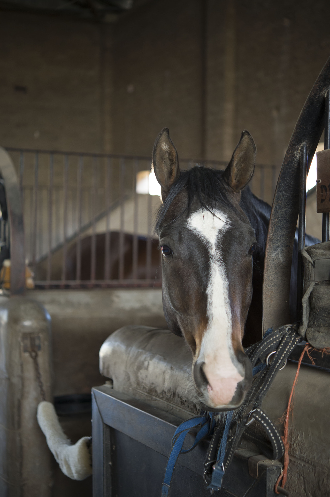 Nikon Df sample photo. The look photography