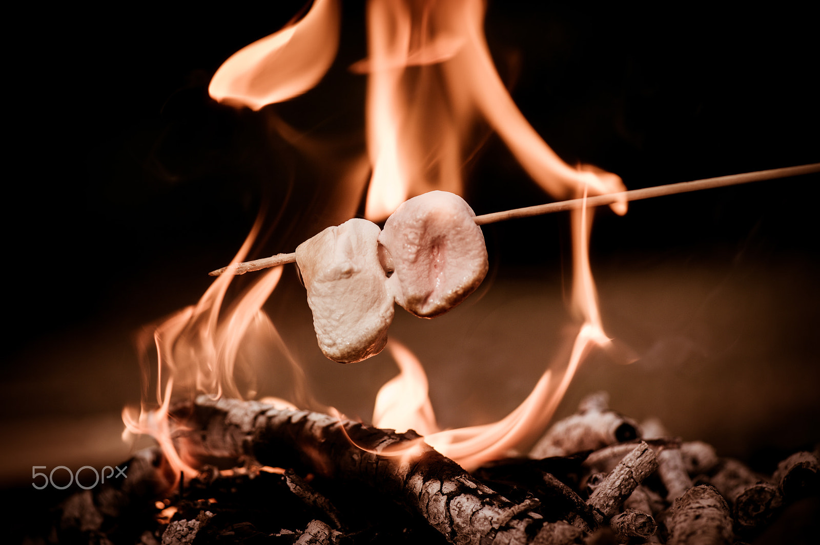 Nikon D4S sample photo. Close-up of marshmallows roasting in campfire, nature photography