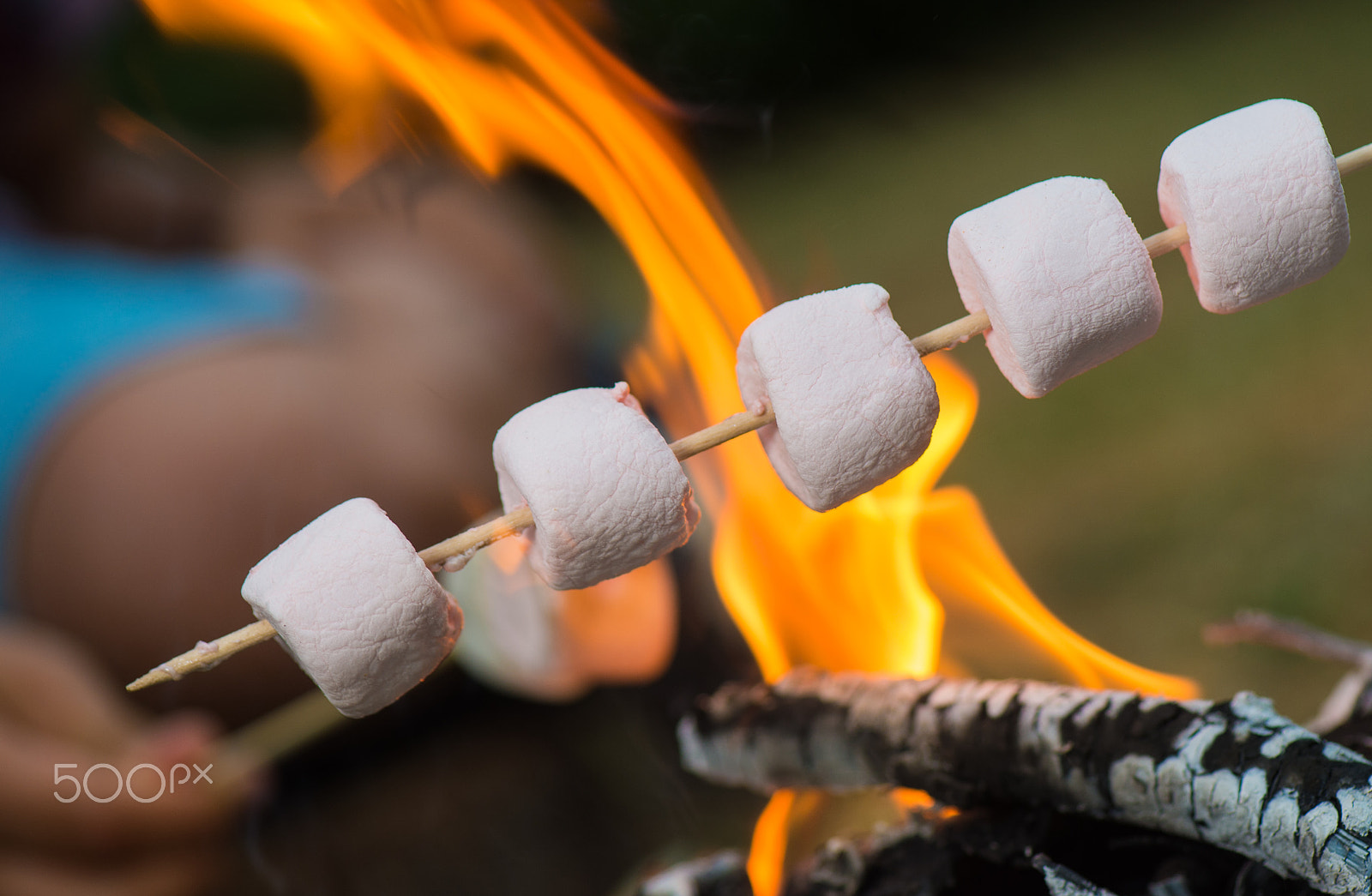 Nikon D4S + Nikon AF-S Micro-Nikkor 105mm F2.8G IF-ED VR sample photo. Close-up of marshmallows roasting in campfire, nature photography