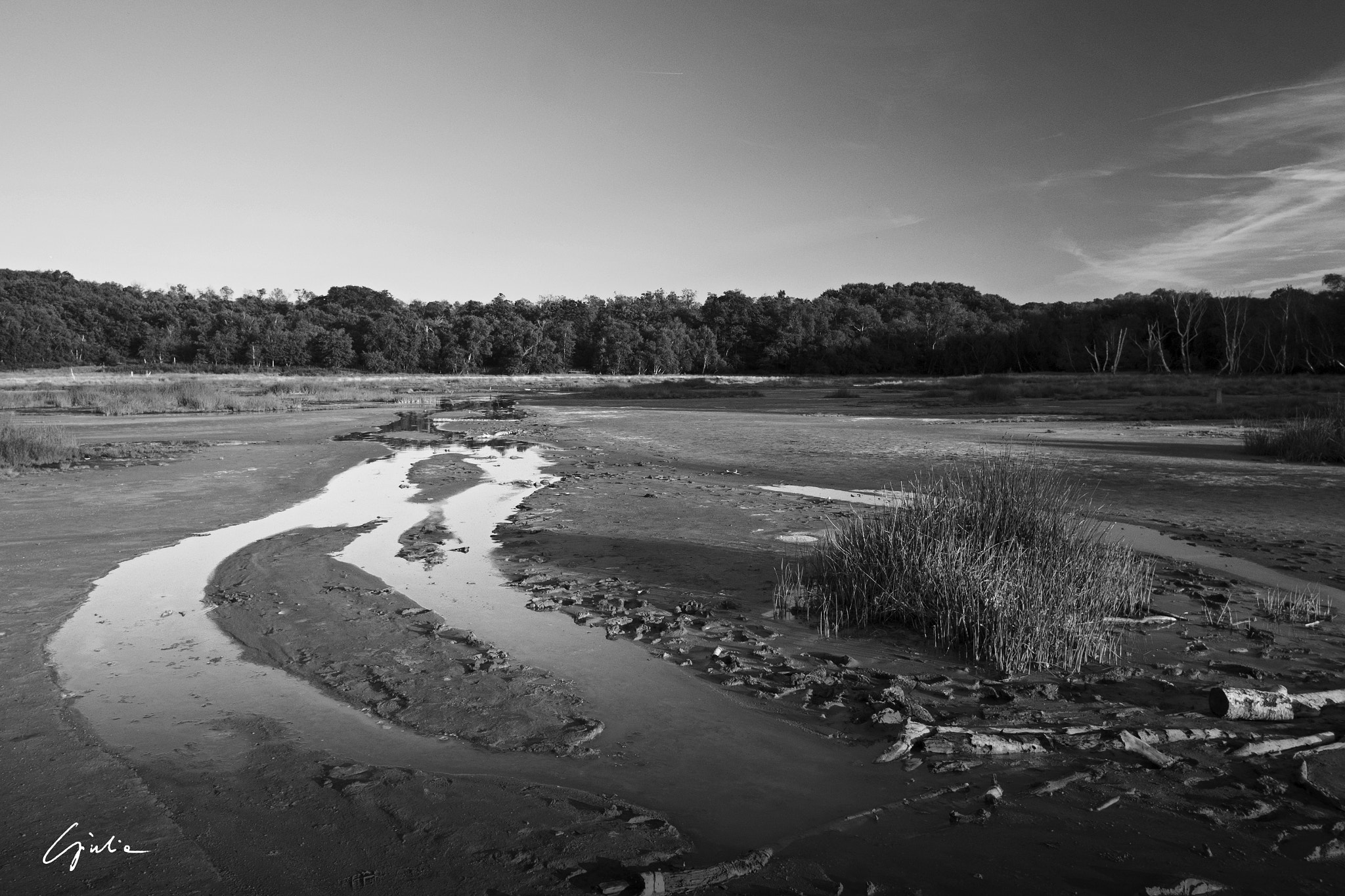 Fujifilm X-E2 + Fujifilm XF 18mm F2 R sample photo. Sulfur empire photography