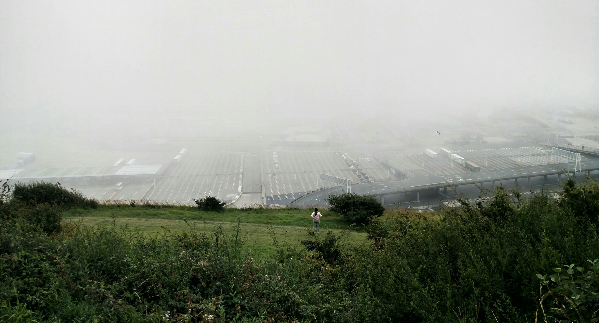 Motorola Moto X Force sample photo. Dover photography