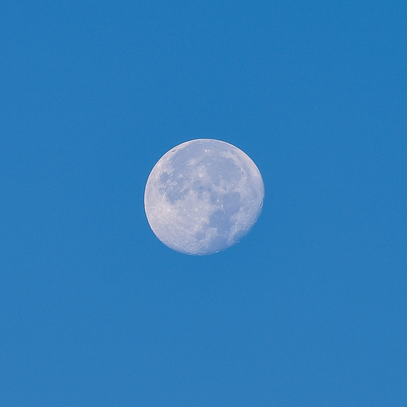 Nikon AF-S Nikkor 300mm F2.8G ED VR II sample photo. Jbn_2207.jpg photography