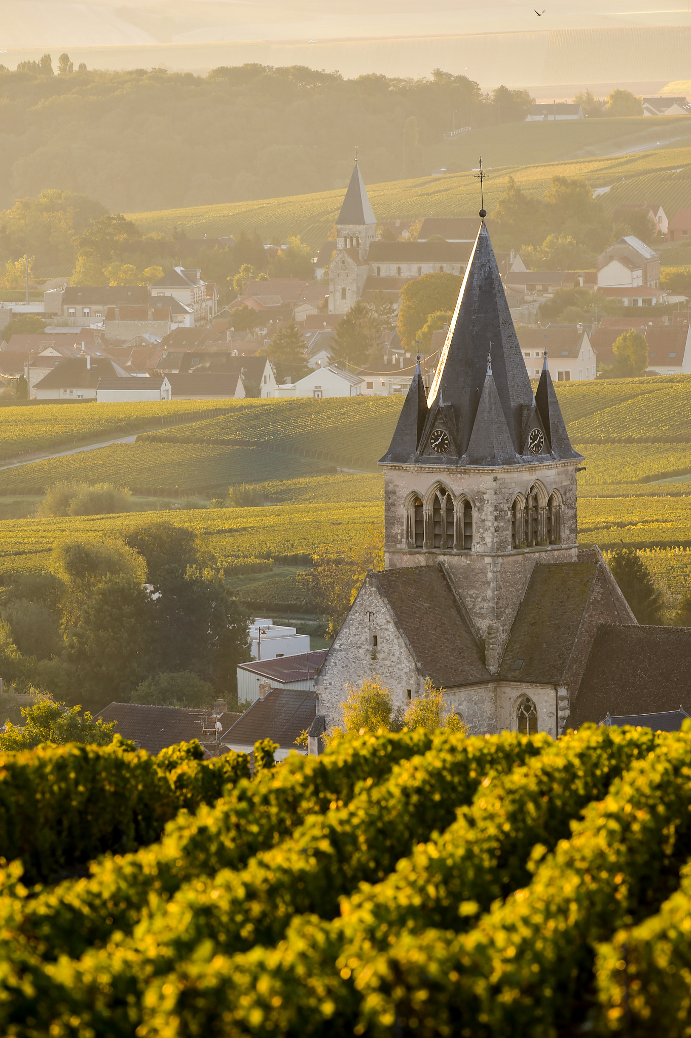 Nikon AF-S Nikkor 300mm F2.8G ED VR II sample photo. Champagne vineyards villedomange in marne department, france photography