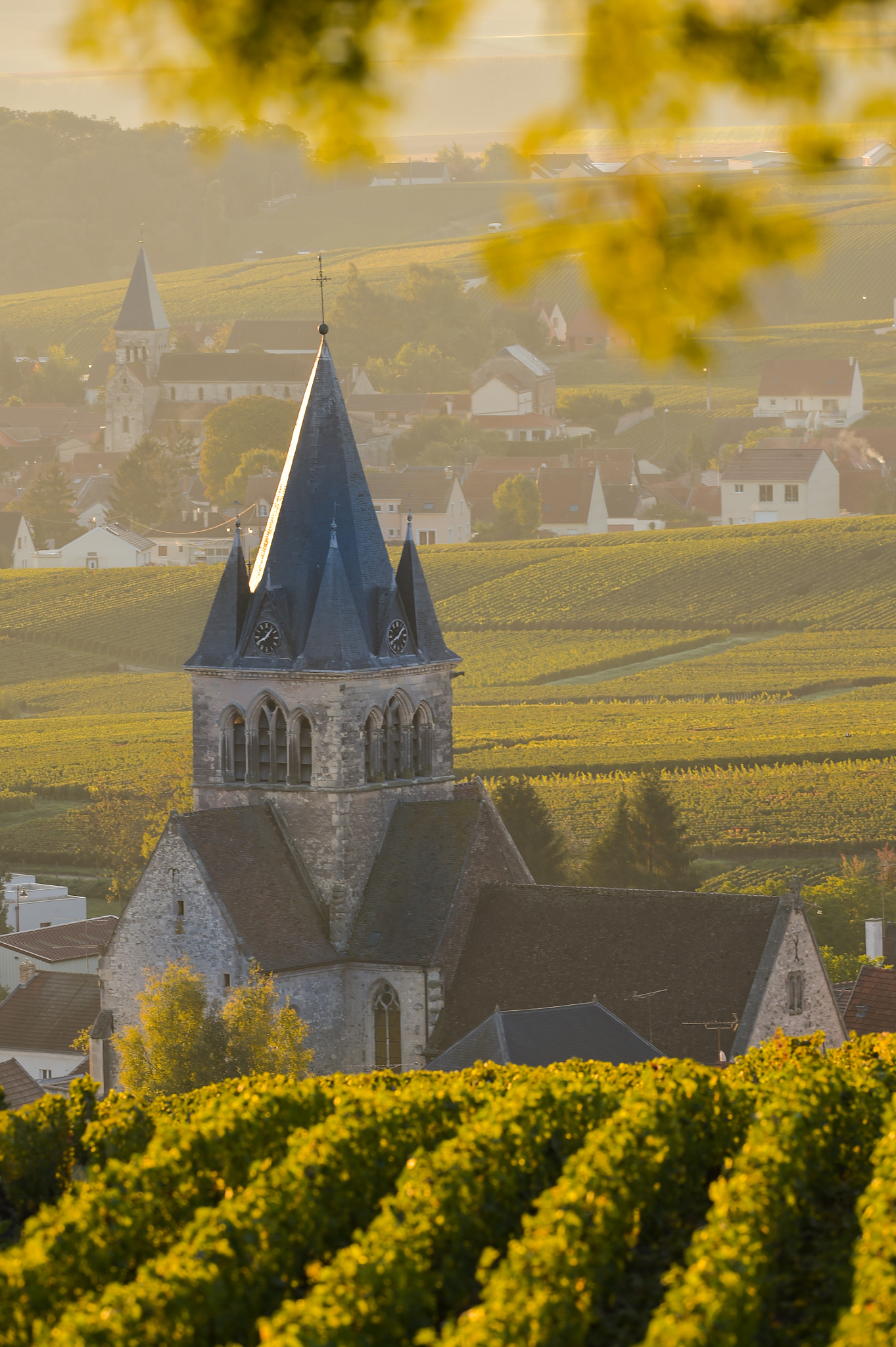 Nikon AF-S Nikkor 300mm F2.8G ED VR II sample photo. Champagne vineyards villedomange in marne department, france photography