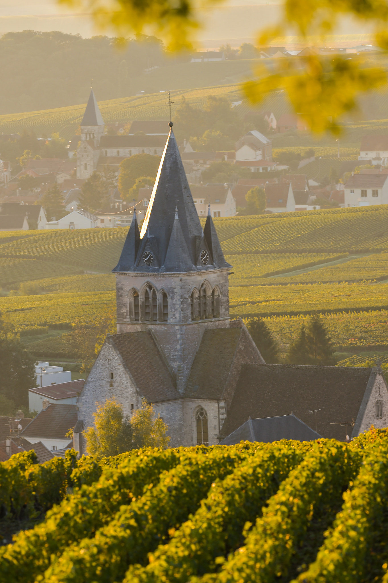 Nikon AF-S Nikkor 300mm F2.8G ED VR II sample photo. Champagne vineyards villedomange in marne department, france photography