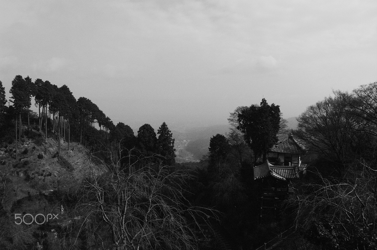 Pentax smc DA 21mm F3.2 AL Limited sample photo. Imgp6464.jpg photography