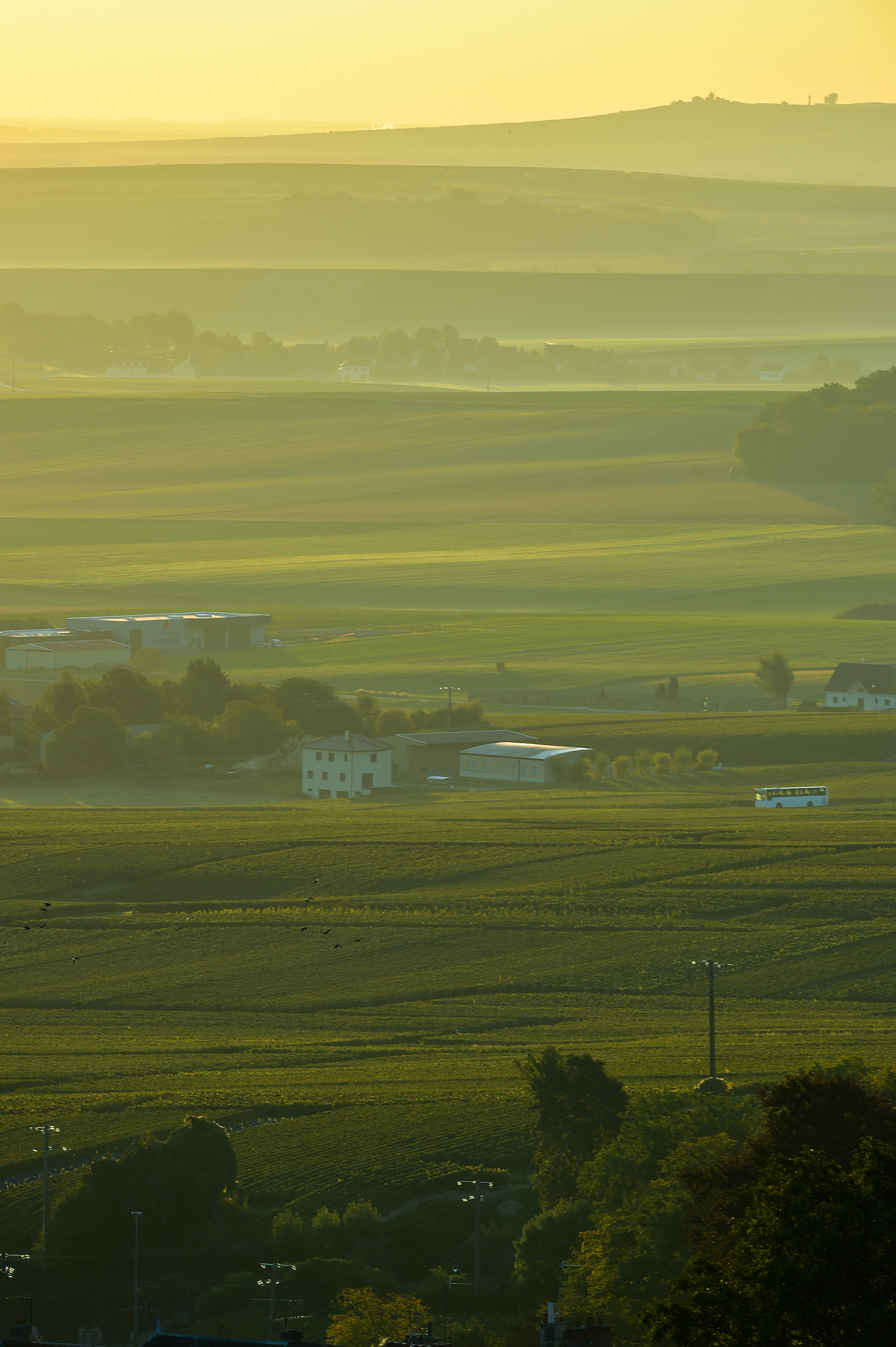Nikon AF-S Nikkor 300mm F2.8G ED VR II sample photo. Champagne vineyards villedomange in marne department, france photography