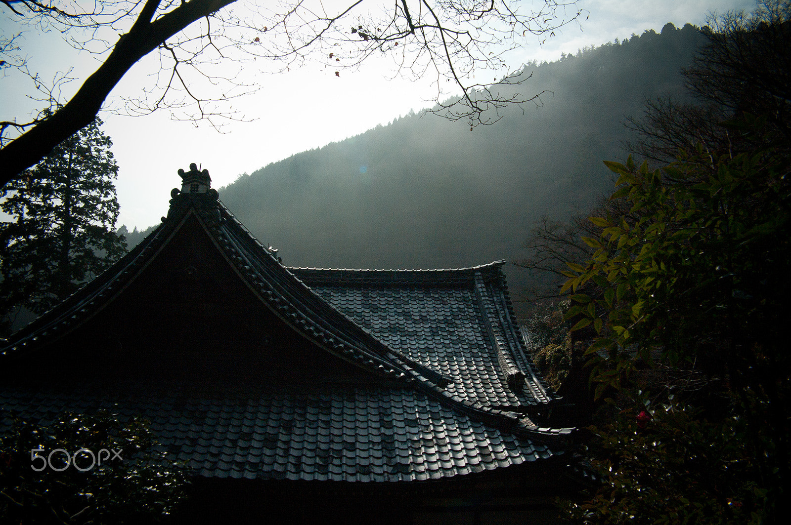 Pentax K-7 + Pentax smc DA 21mm F3.2 AL Limited sample photo. Yoshimine temple , kyoto nishiyama photography