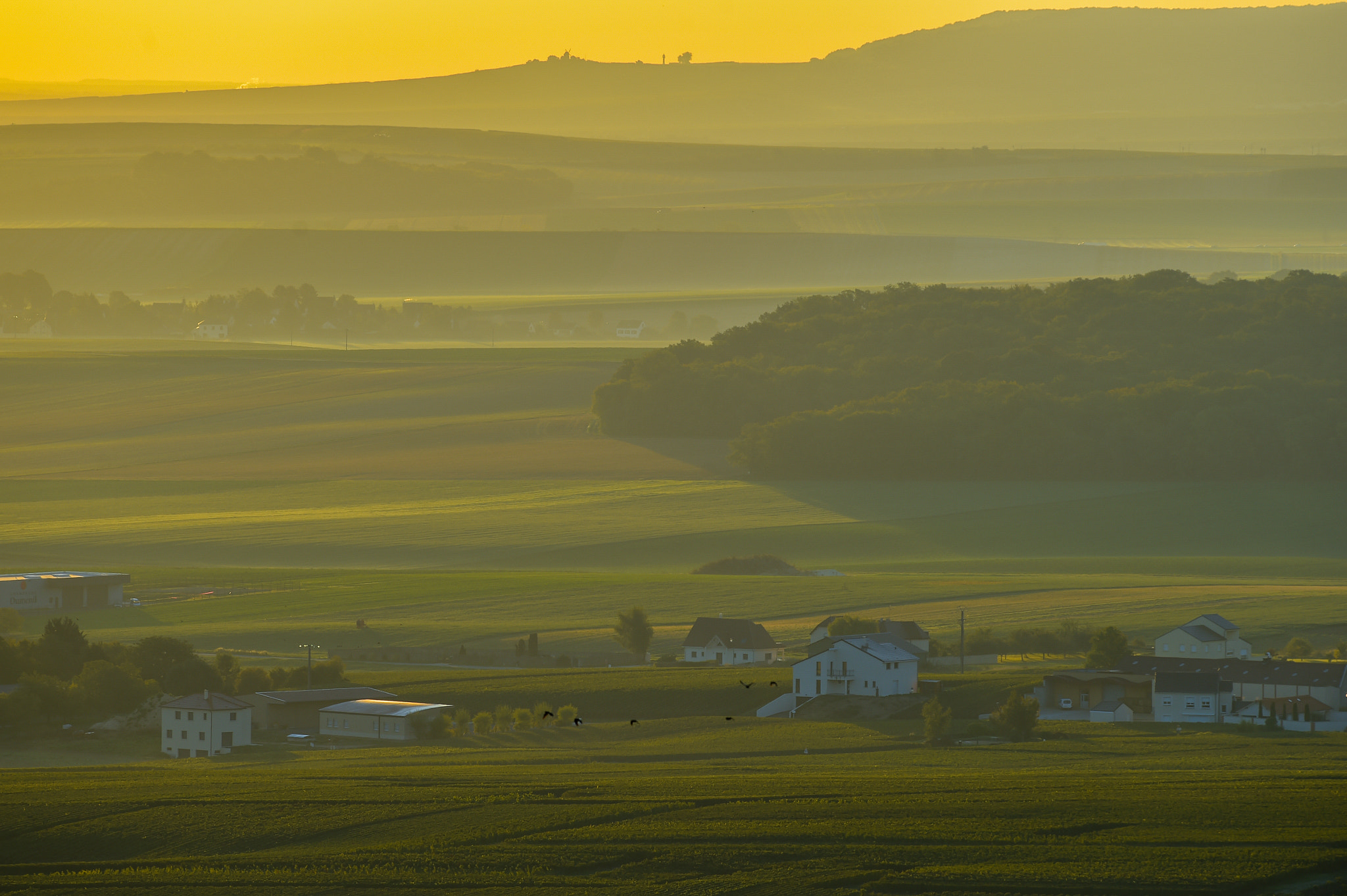 Nikon AF-S Nikkor 300mm F2.8G ED VR II sample photo. Champagne vineyards villedomange in marne department, france photography