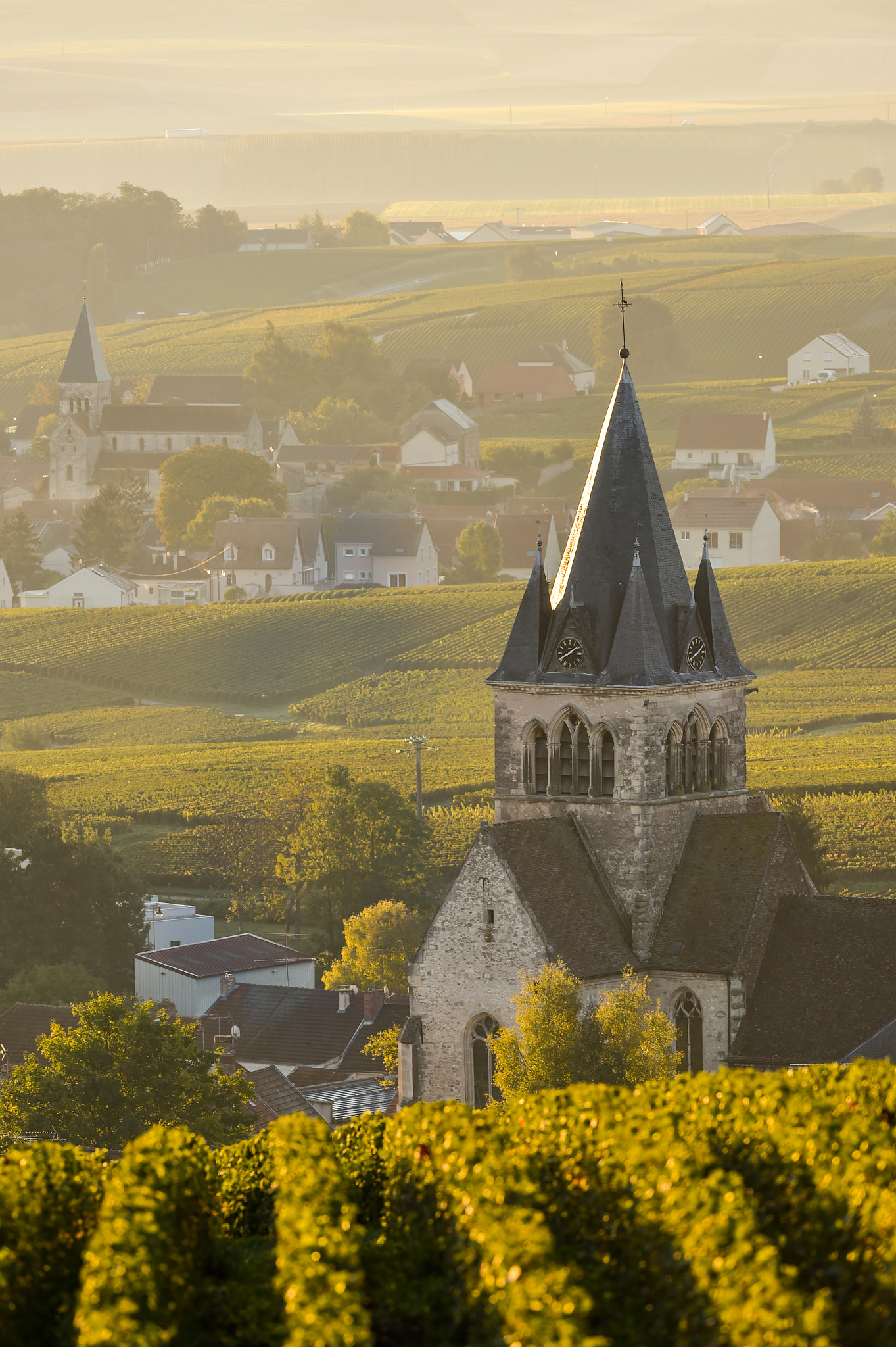 Nikon AF-S Nikkor 300mm F2.8G ED VR II sample photo. Champagne vineyards villedomange in marne department, france photography