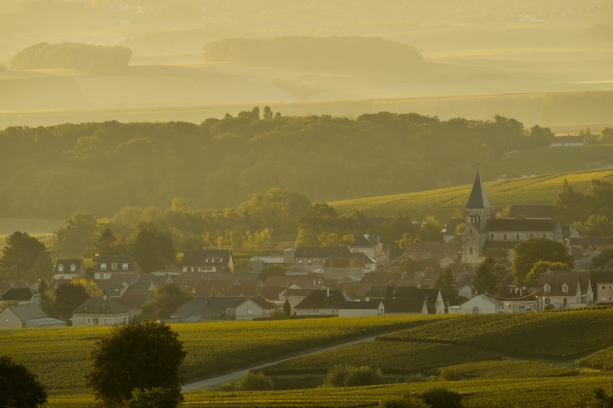 Nikon AF-S Nikkor 300mm F2.8G ED VR II sample photo. Champagne vineyards villedomange in marne department, france photography
