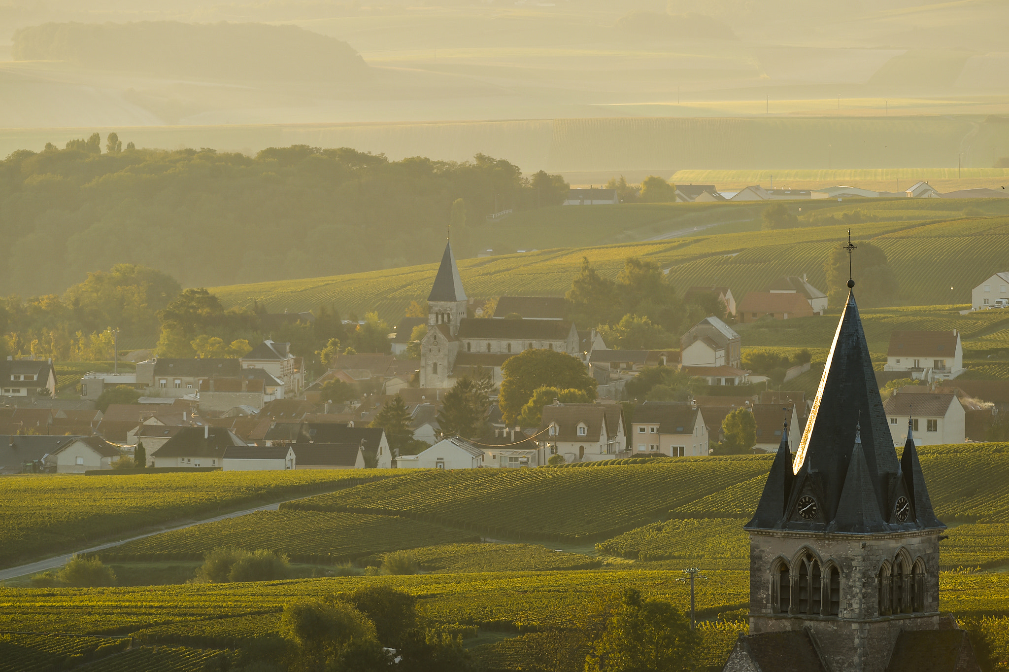 Nikon AF-S Nikkor 300mm F2.8G ED VR II sample photo. Champagne vineyards villedomange in marne department, france photography