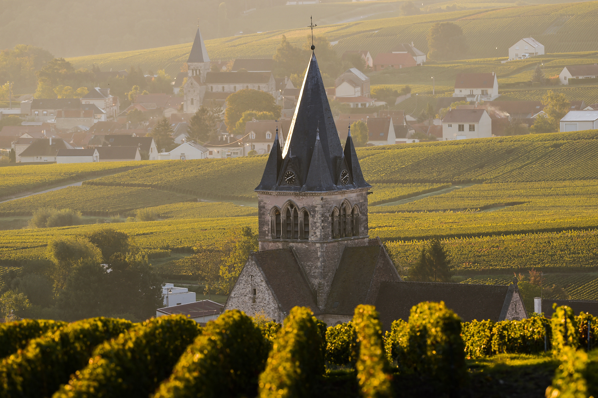 Nikon AF-S Nikkor 300mm F2.8G ED VR II sample photo. Champagne vineyards villedomange in marne department, france photography