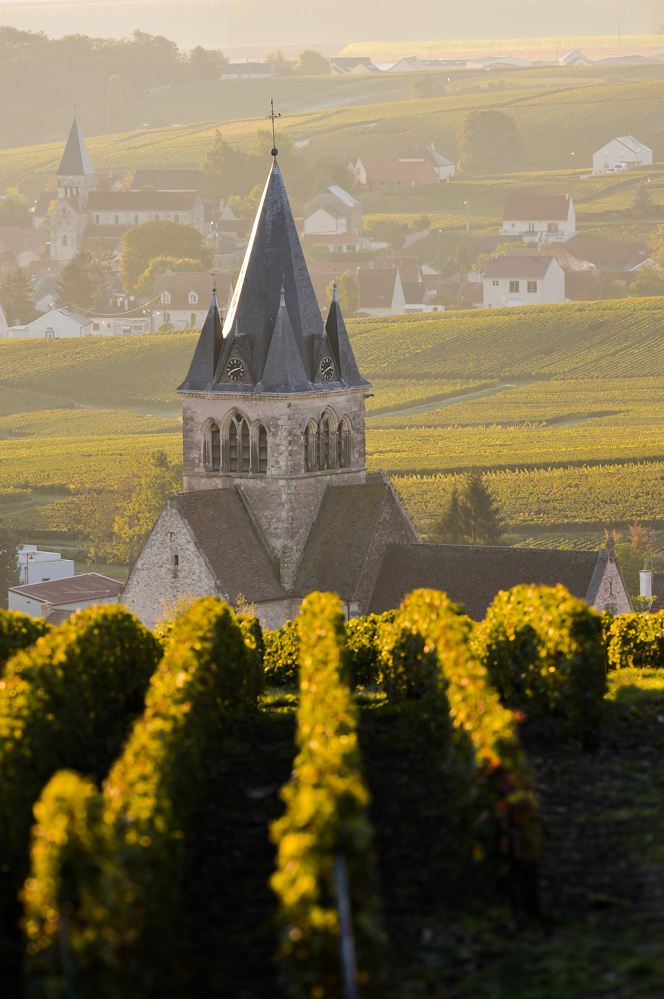 Nikon AF-S Nikkor 300mm F2.8G ED VR II sample photo. Champagne vineyards villedomange in marne department, france photography