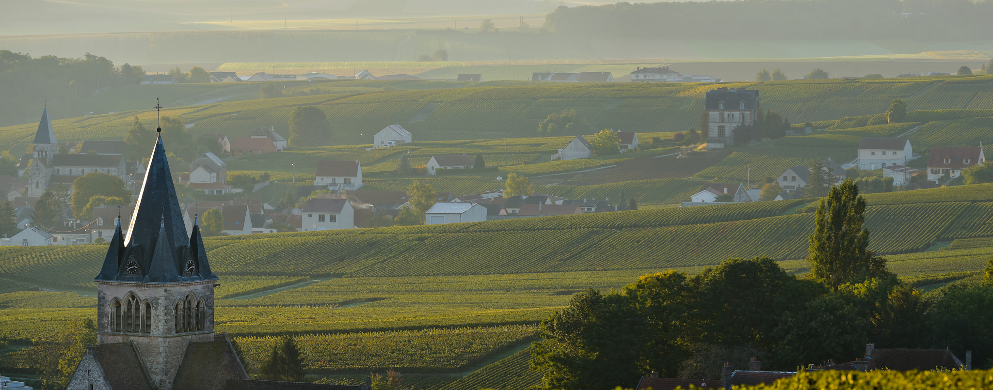 Nikon AF-S Nikkor 300mm F2.8G ED VR II sample photo. Champagne vineyards villedomange in marne department, france photography
