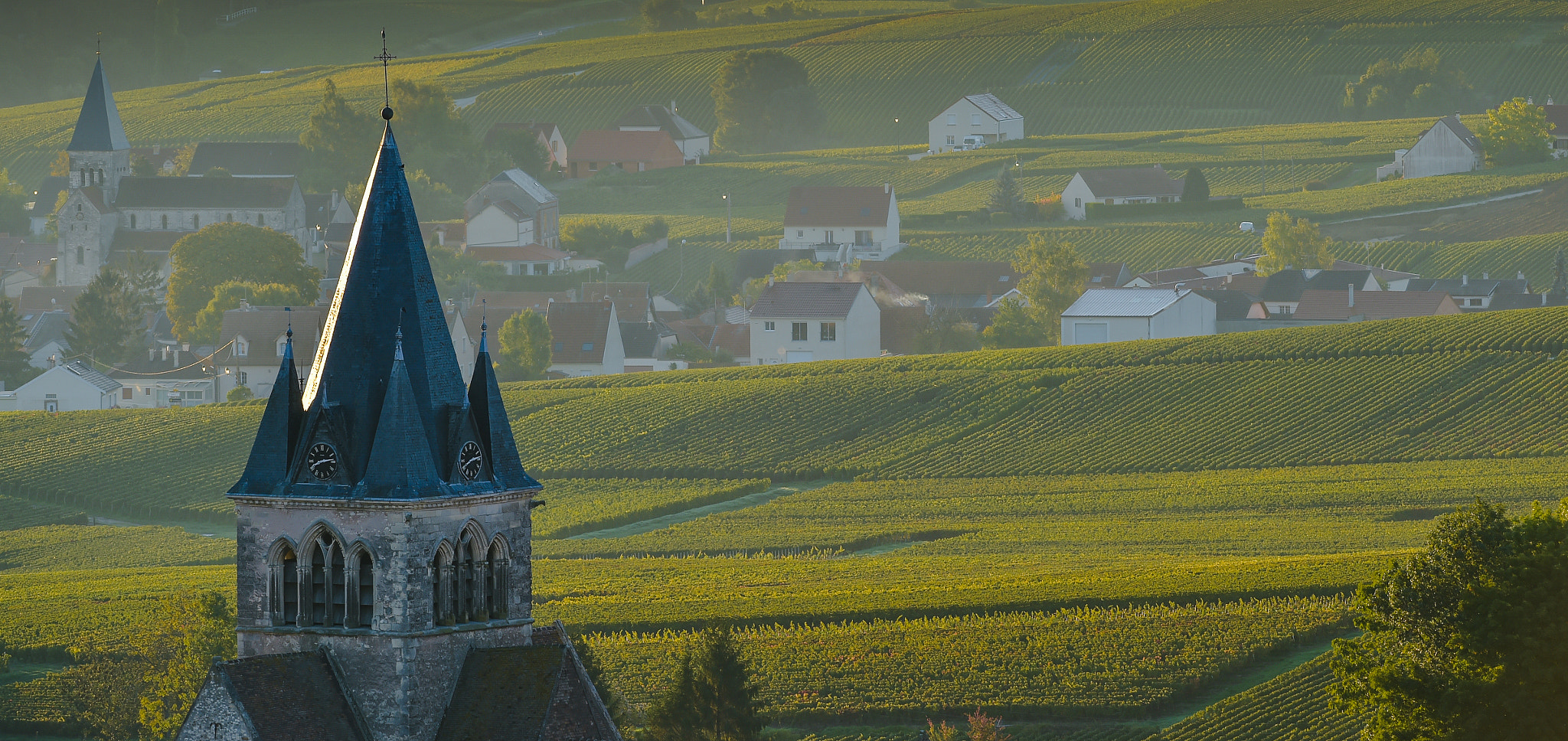 Nikon AF-S Nikkor 300mm F2.8G ED VR II sample photo. Champagne vineyards villedomange in marne department, france photography