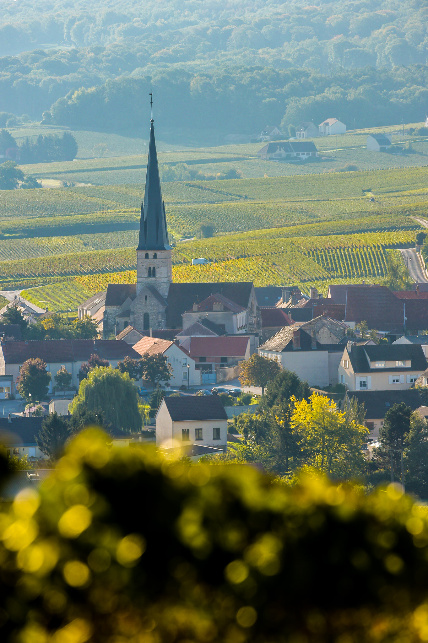 Nikon AF-S Nikkor 300mm F2.8G ED VR II sample photo. Champagne vineyards sermiers in marne department, france photography