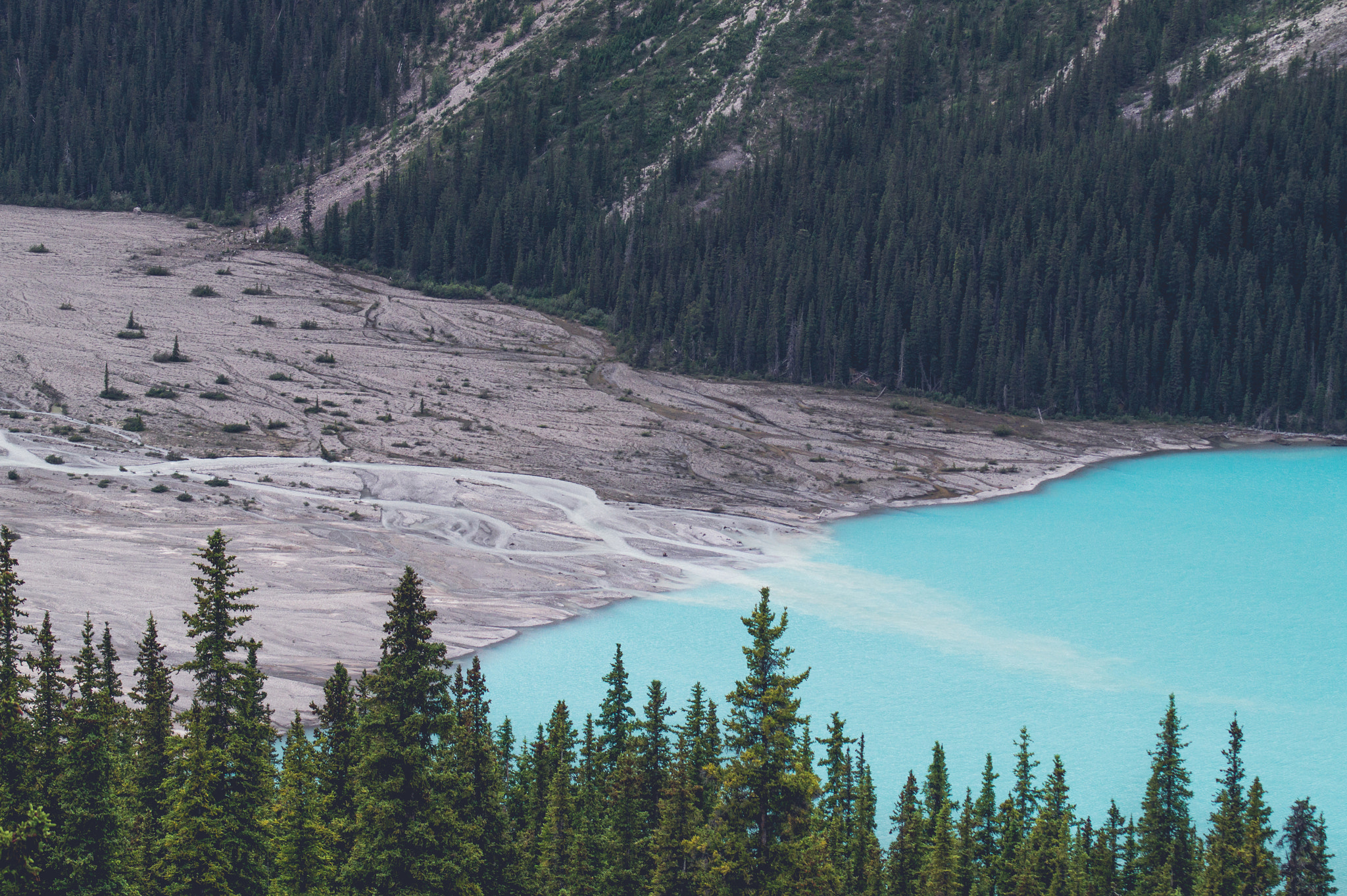 Sony 75-300mm F4.5-5.6 sample photo. Pine trees by a blue lake photography
