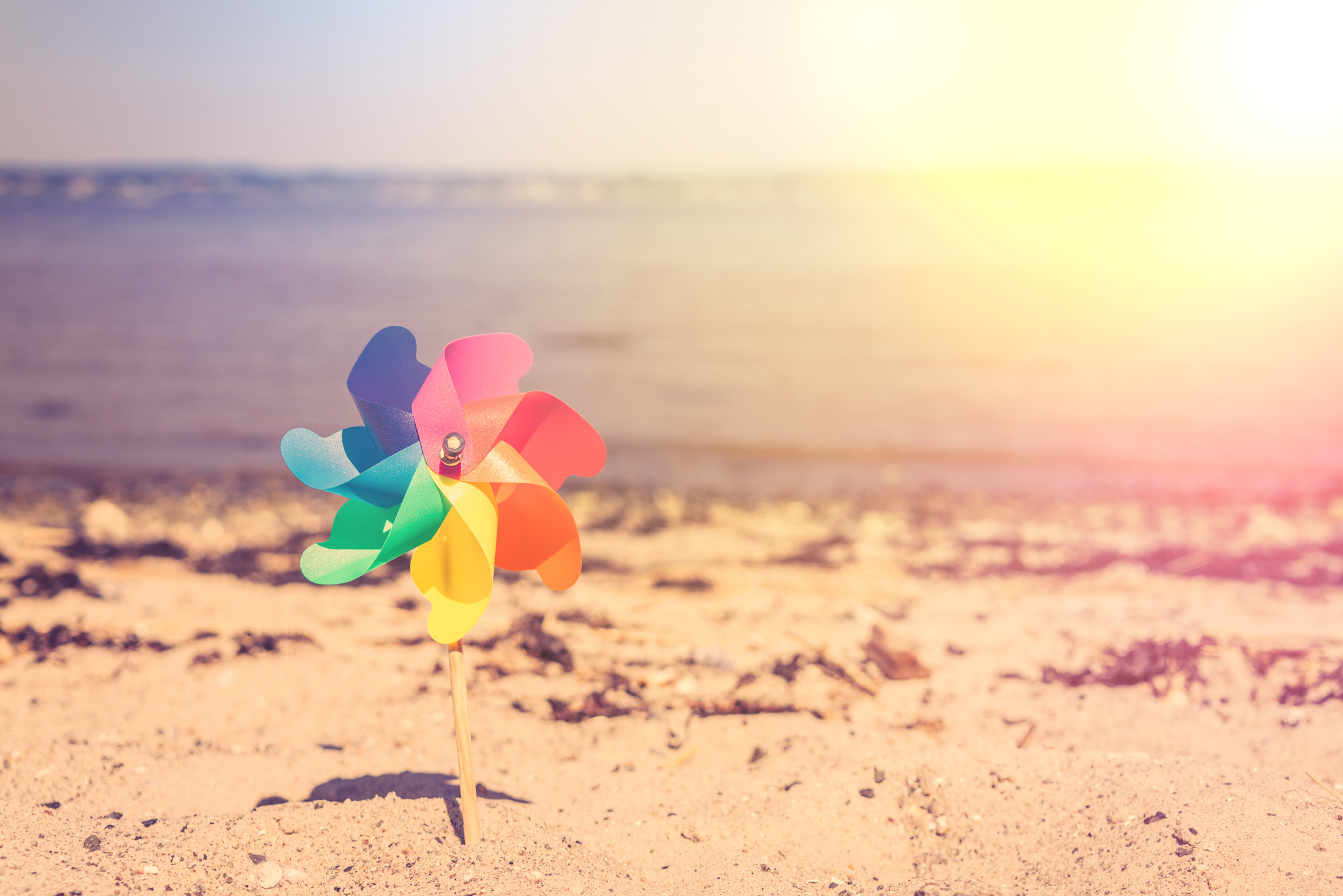 Sony a7R + Sony 50mm F1.4 sample photo. Summer toy on a beach photography