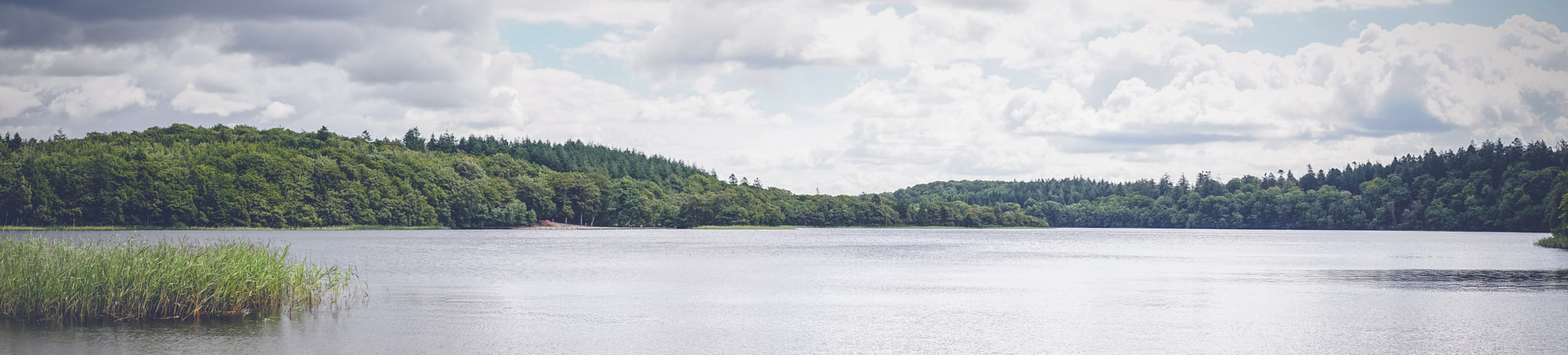 Sony a7R + Minolta AF 50mm F1.4 [New] sample photo. Lake scenery by a green forest photography