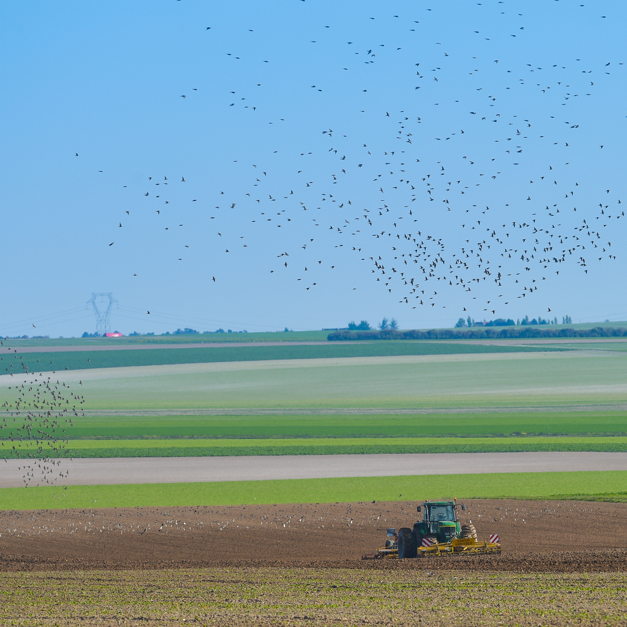 Nikon AF-S Nikkor 300mm F2.8G ED VR II sample photo. Tractor plowing the fields with a flock of birds above photography
