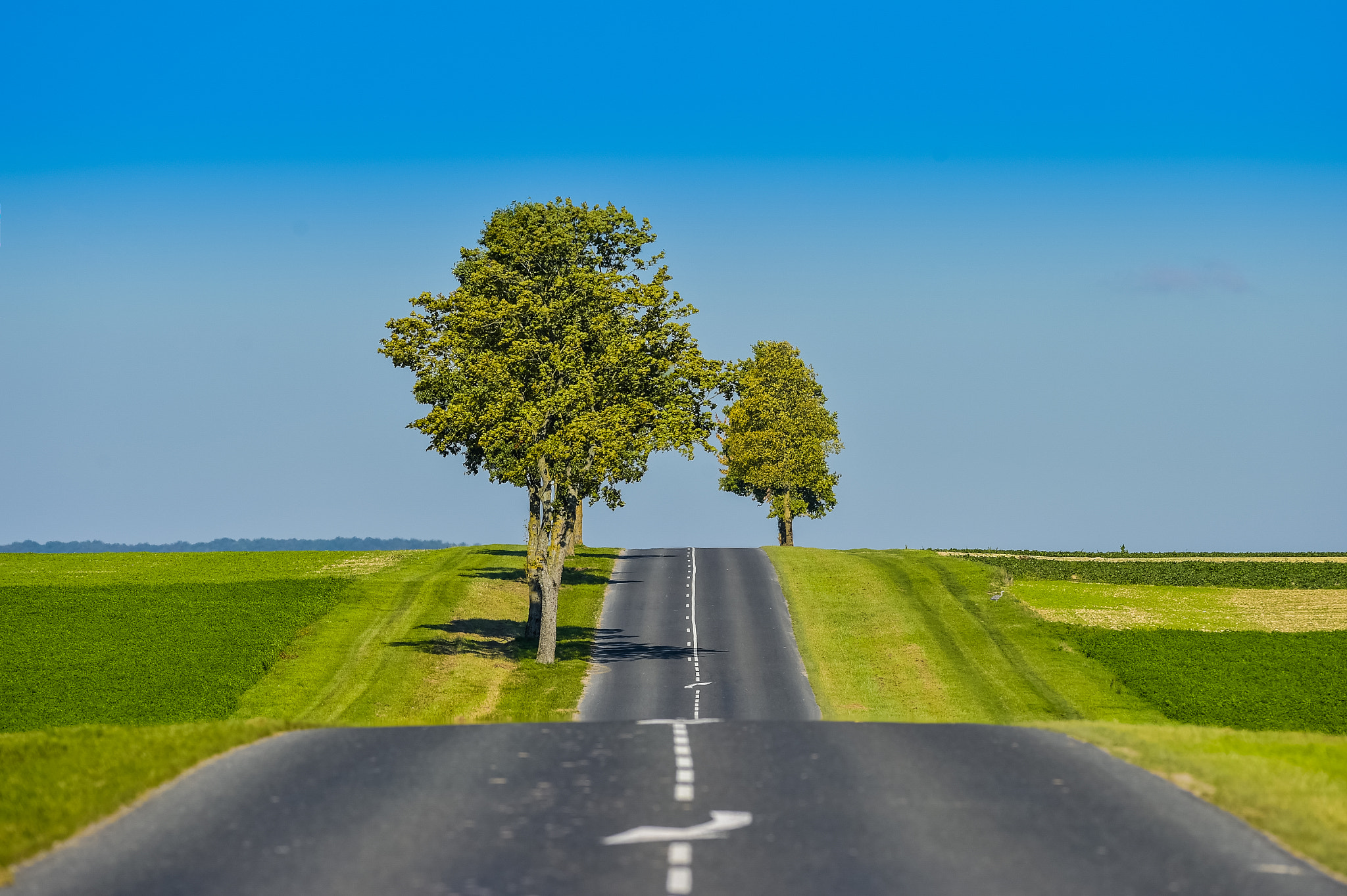 Nikon AF-S Nikkor 300mm F2.8G ED VR II sample photo. Asphalt road lined with fields and trees in champagne france photography