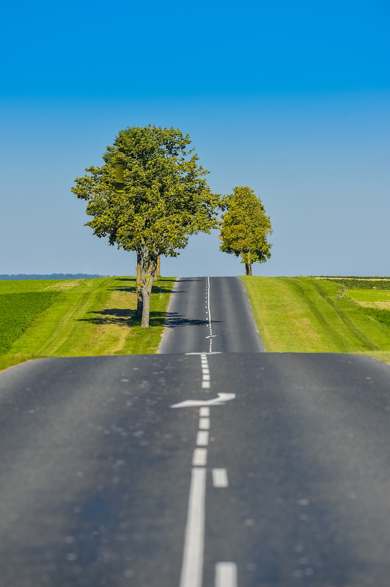 Nikon AF-S Nikkor 300mm F2.8G ED VR II sample photo. Asphalt road lined with fields and trees in champagne france photography