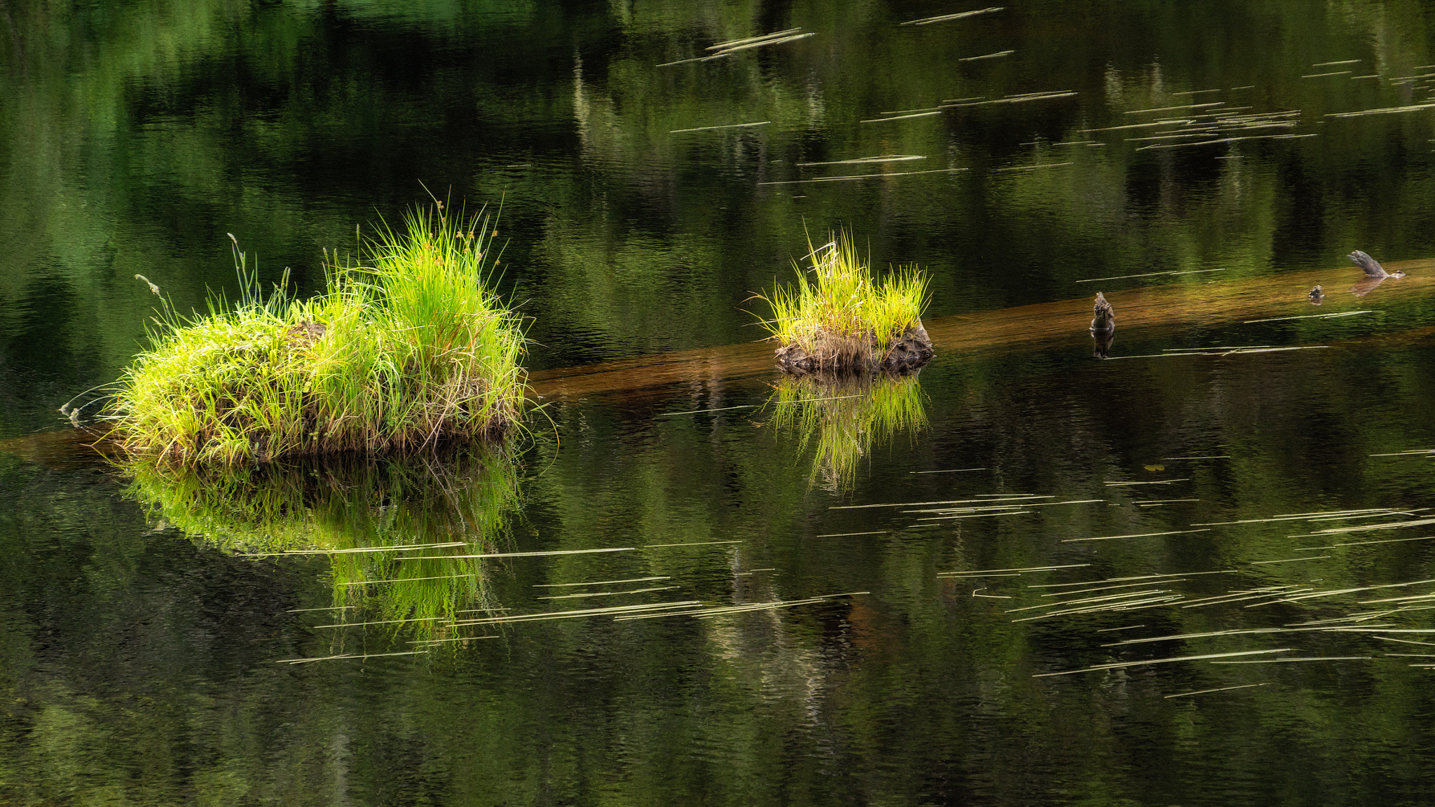 Sony E 18-200mm F3.5-6.3 OSS sample photo. 'prudhomme lake' photography