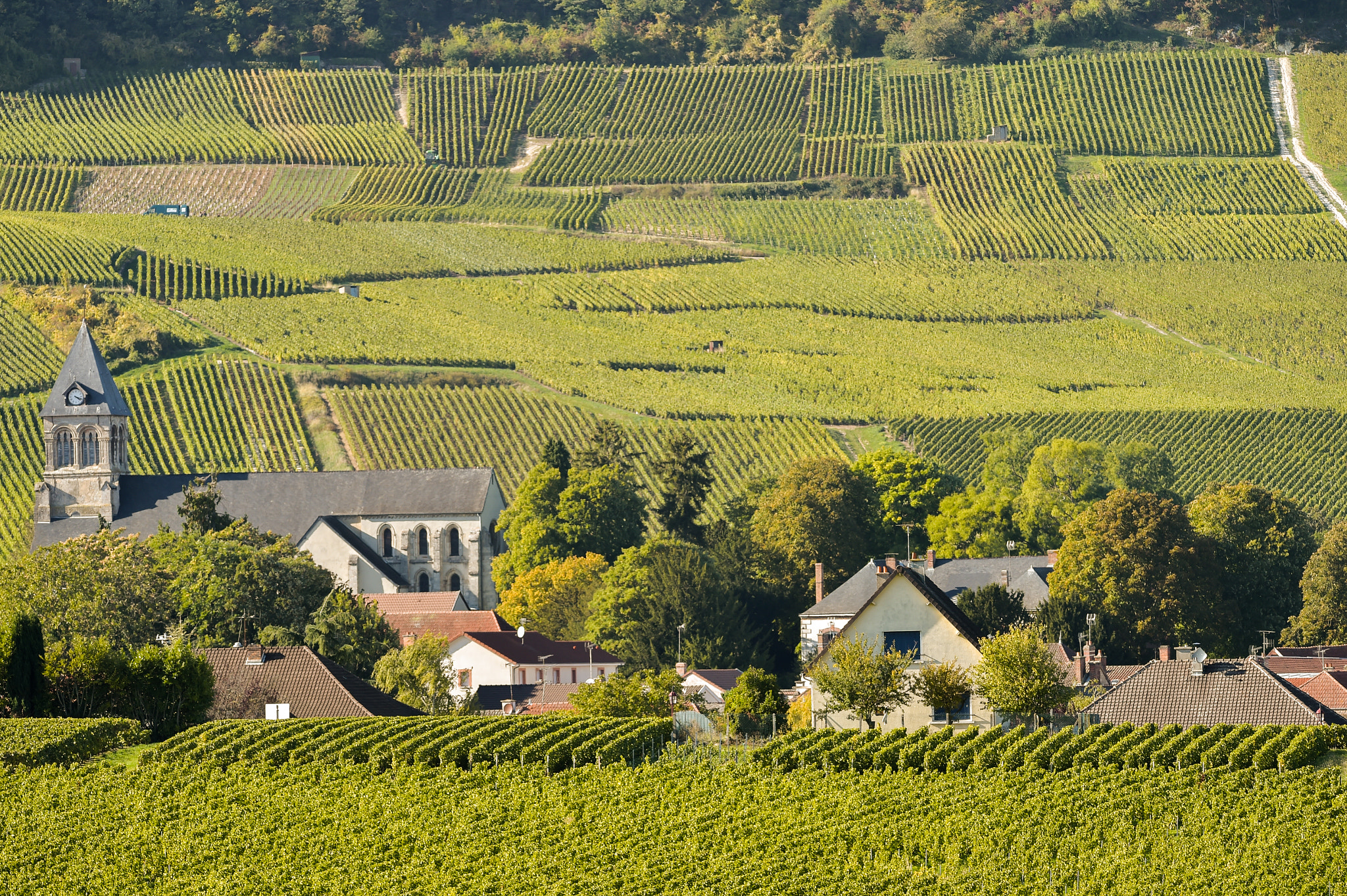 Nikon AF-S Nikkor 300mm F2.8G ED VR II sample photo. Champagne vineyards cuis in marne department, france photography
