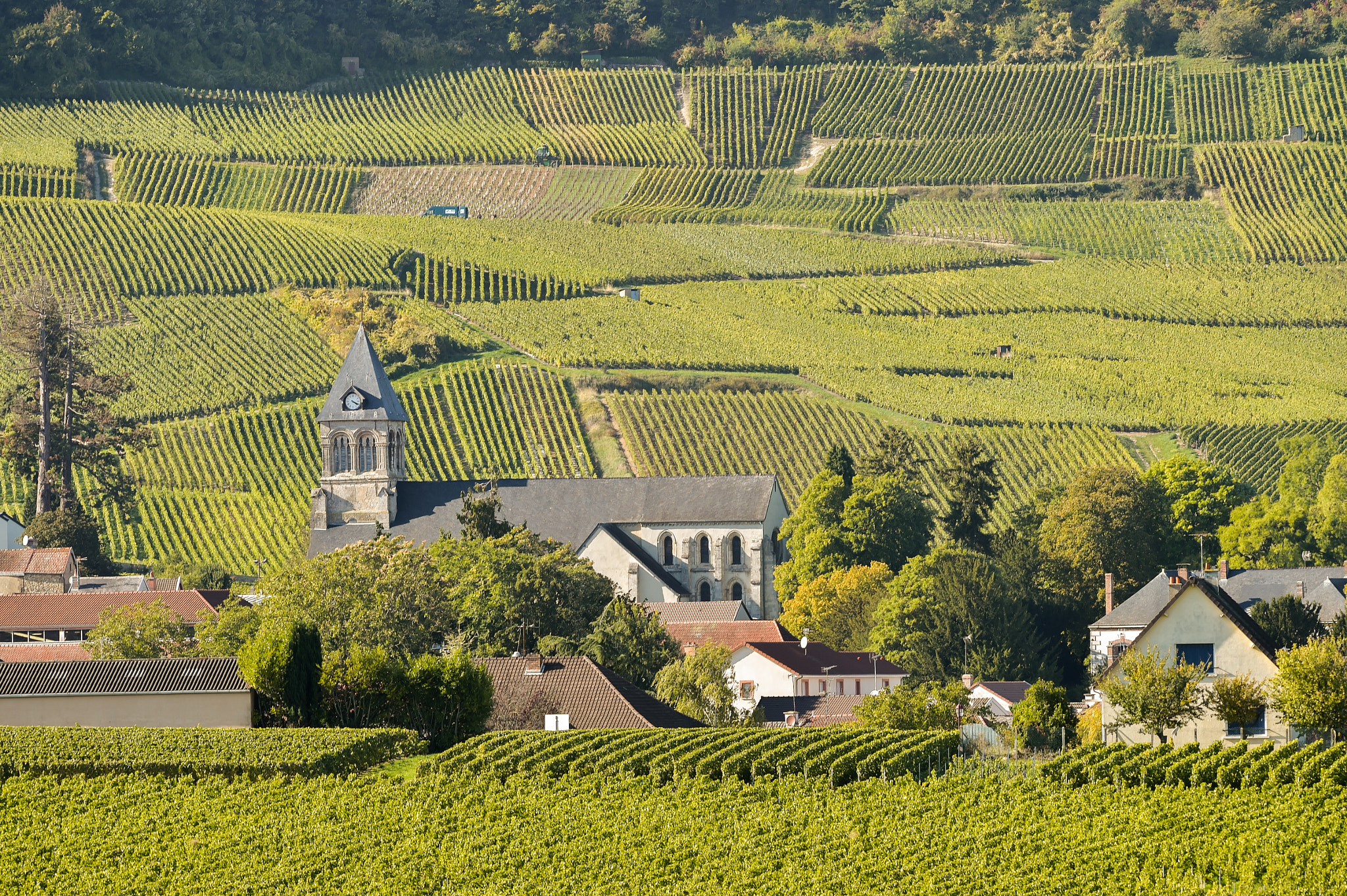 Nikon AF-S Nikkor 300mm F2.8G ED VR II sample photo. Champagne vineyards cuis in marne department, france photography