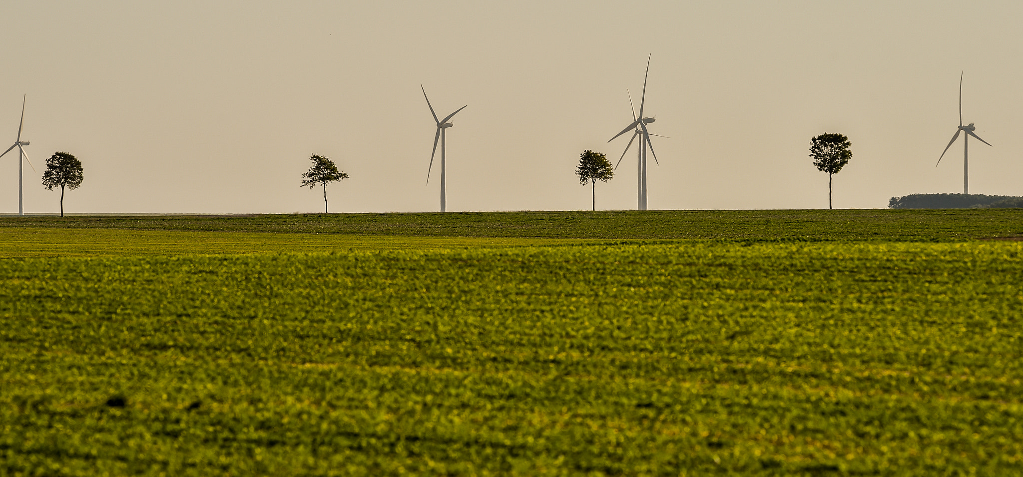Nikon AF-S Nikkor 300mm F2.8G ED VR II sample photo. Windmills for electric power production photography