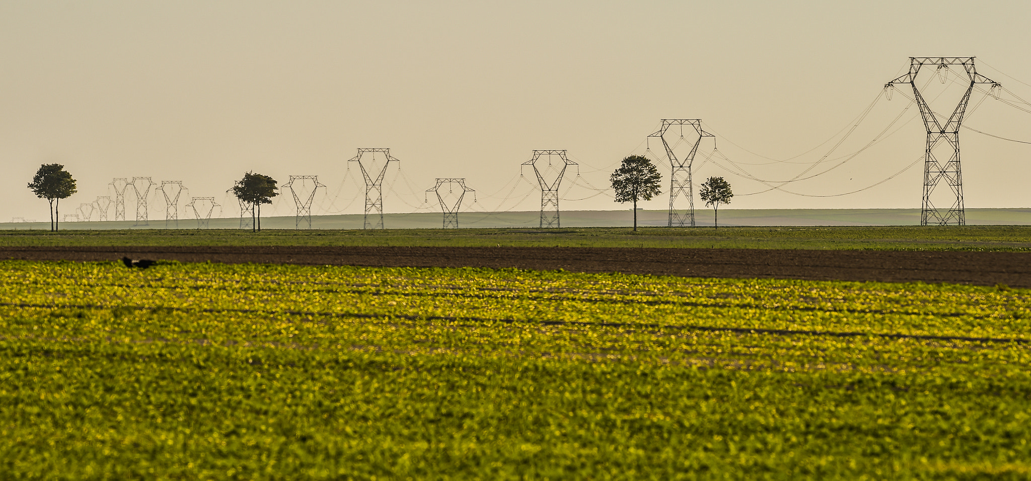 Nikon AF-S Nikkor 300mm F2.8G ED VR II sample photo. Power line, electricity pylons, landscape photography