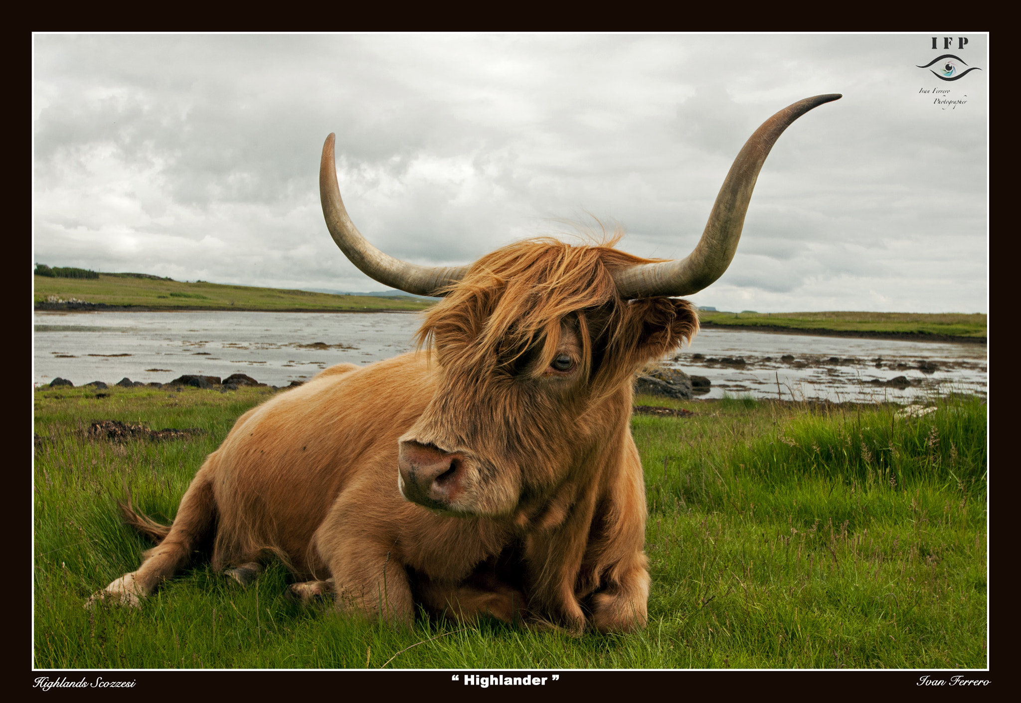 Nikon D300S sample photo. Highlander photography