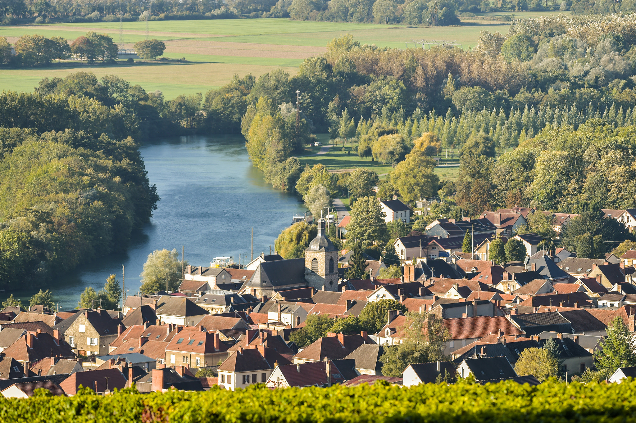 Nikon AF-S Nikkor 300mm F2.8G ED VR II sample photo. Champagne vineyards villedomange in marne department, france photography