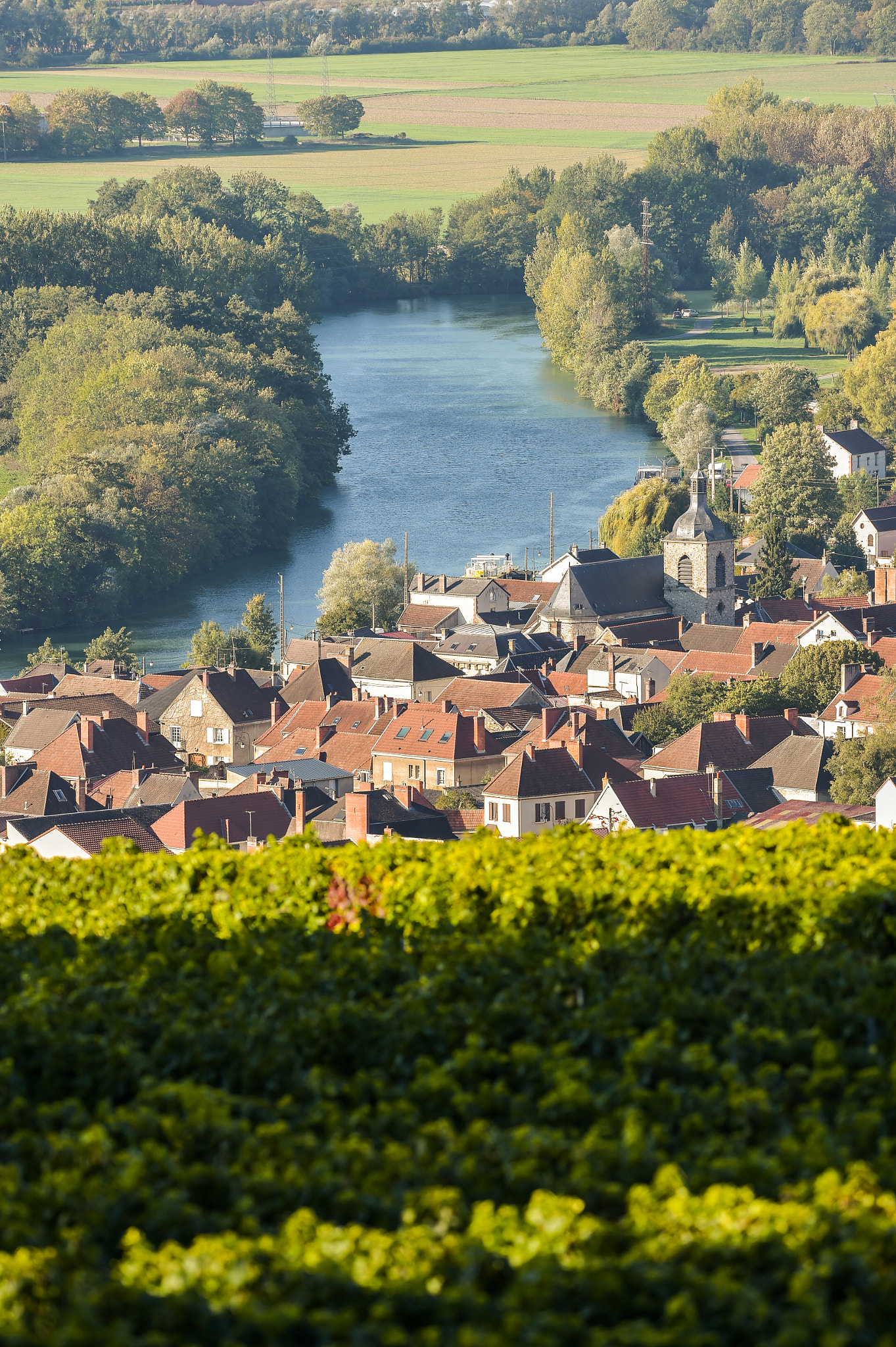 Nikon AF-S Nikkor 300mm F2.8G ED VR II sample photo. Champagne vineyards villedomange in marne department, france photography