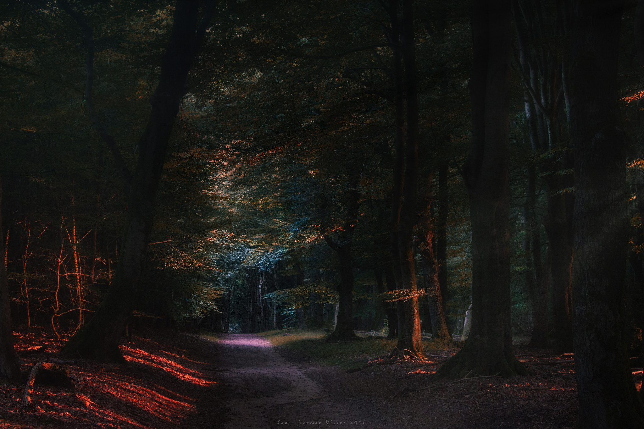 Canon EF 50-200mm f/3.5-4.5 sample photo. Keeper of mysteries... photography
