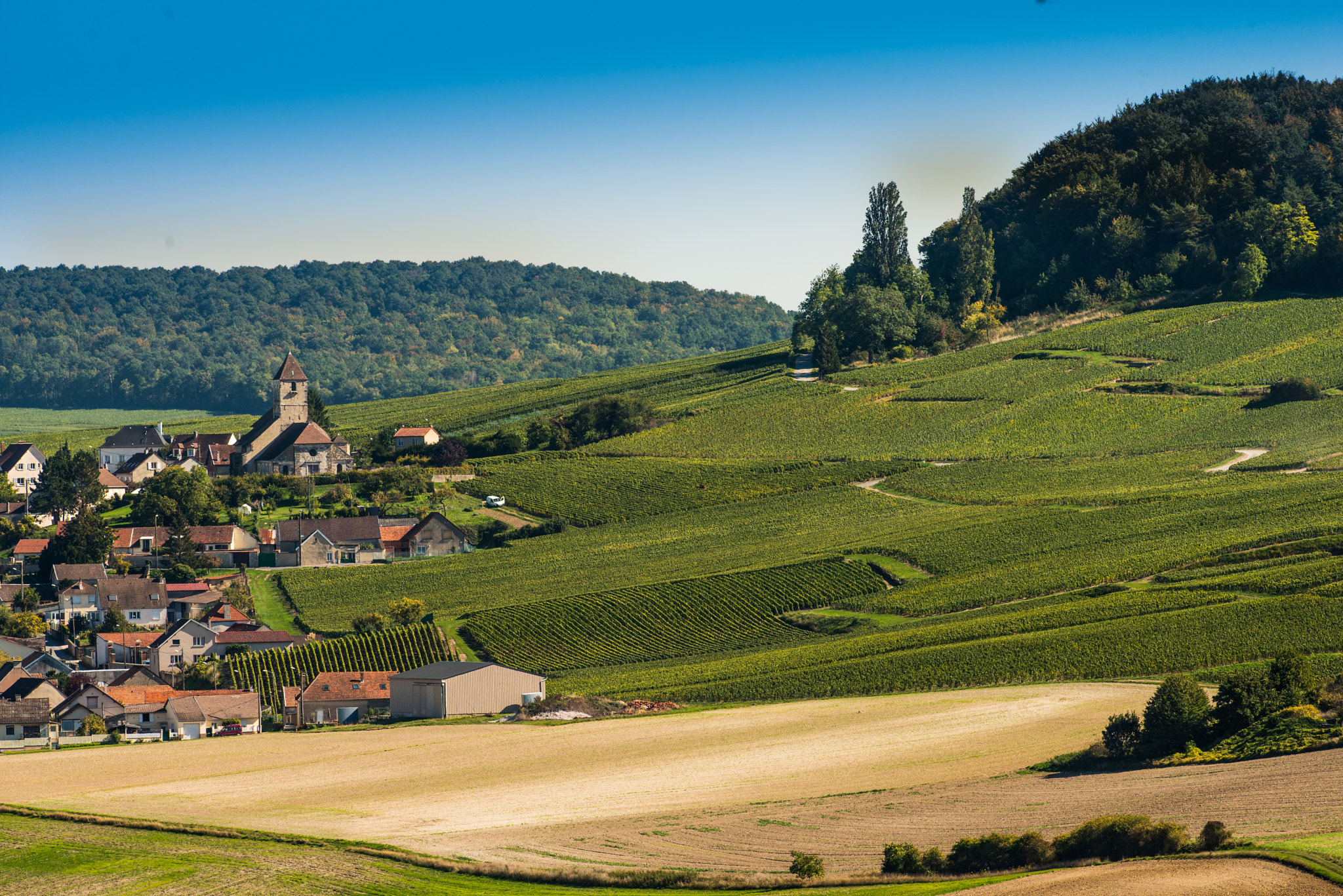 Nikon AF-S Nikkor 300mm F2.8G ED VR II sample photo. Champagne vineyards cuis in marne department, france photography