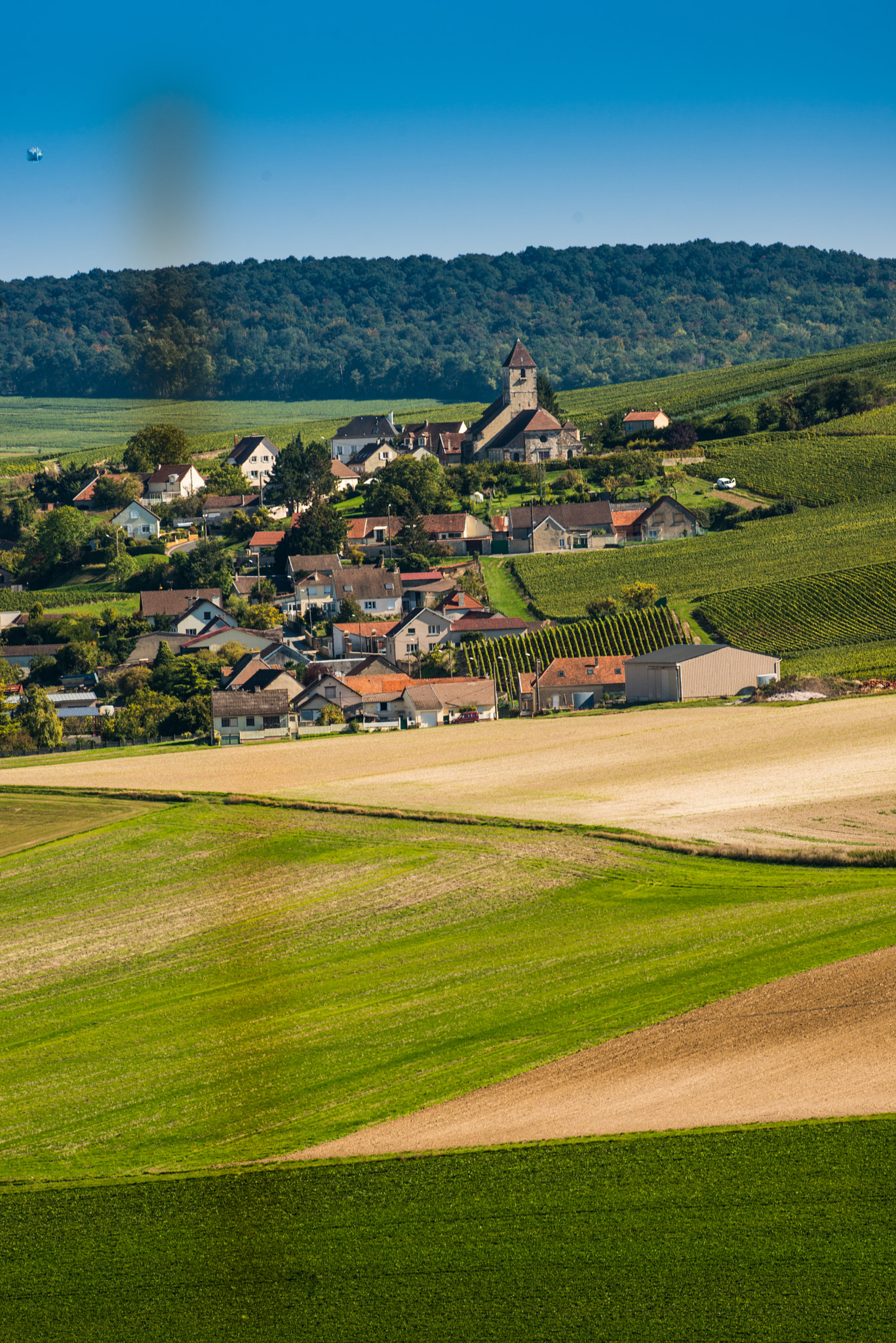 Nikon AF-S Nikkor 300mm F2.8G ED VR II sample photo. Champagne vineyards cuis in marne department, france photography