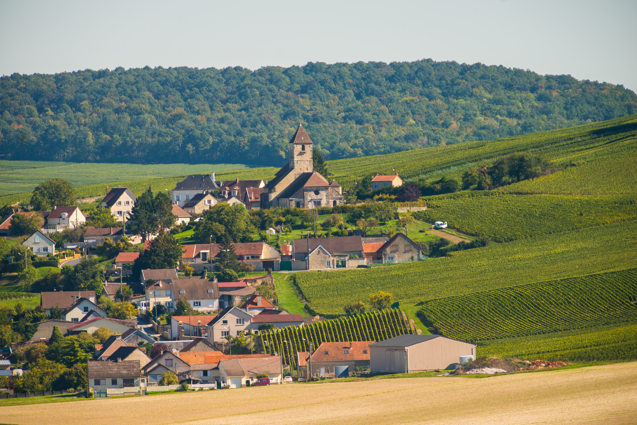 Nikon AF-S Nikkor 300mm F2.8G ED VR II sample photo. Champagne vineyards cuis in marne department, france photography