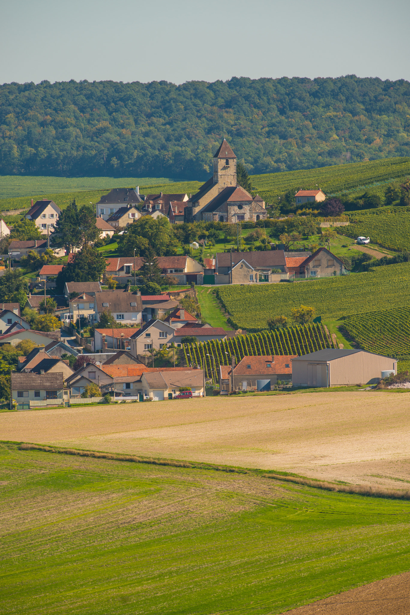 Nikon AF-S Nikkor 300mm F2.8G ED VR II sample photo. Champagne vineyards cuis in marne department, france photography