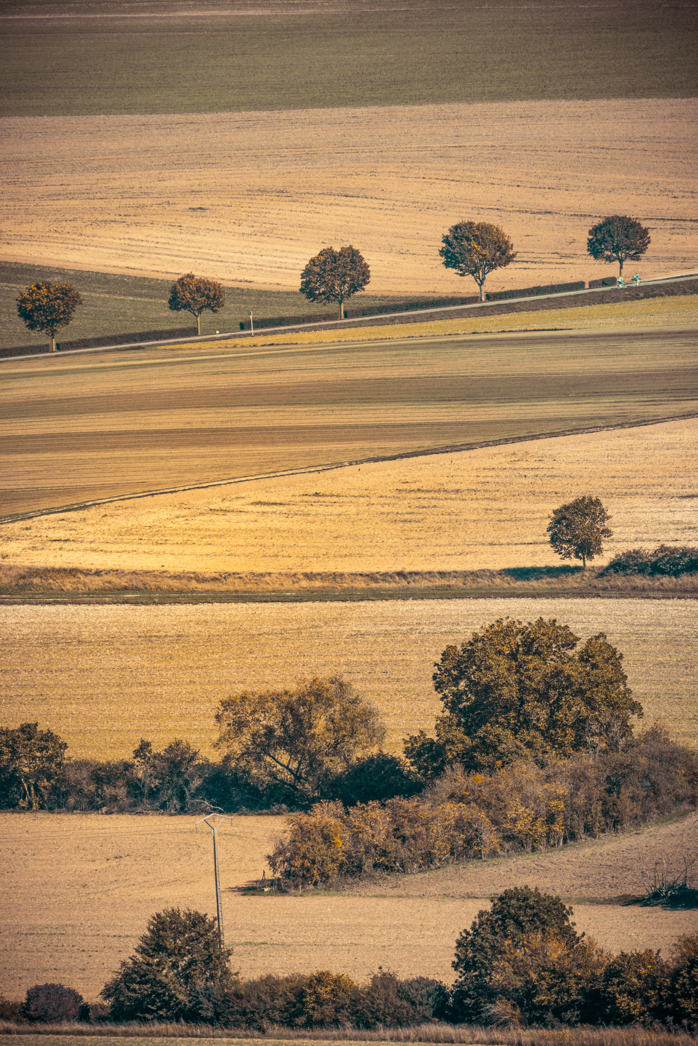 Nikon D800E + Nikon AF-S Nikkor 300mm F2.8G ED VR II sample photo. Brown fields landscape champagne marne photography